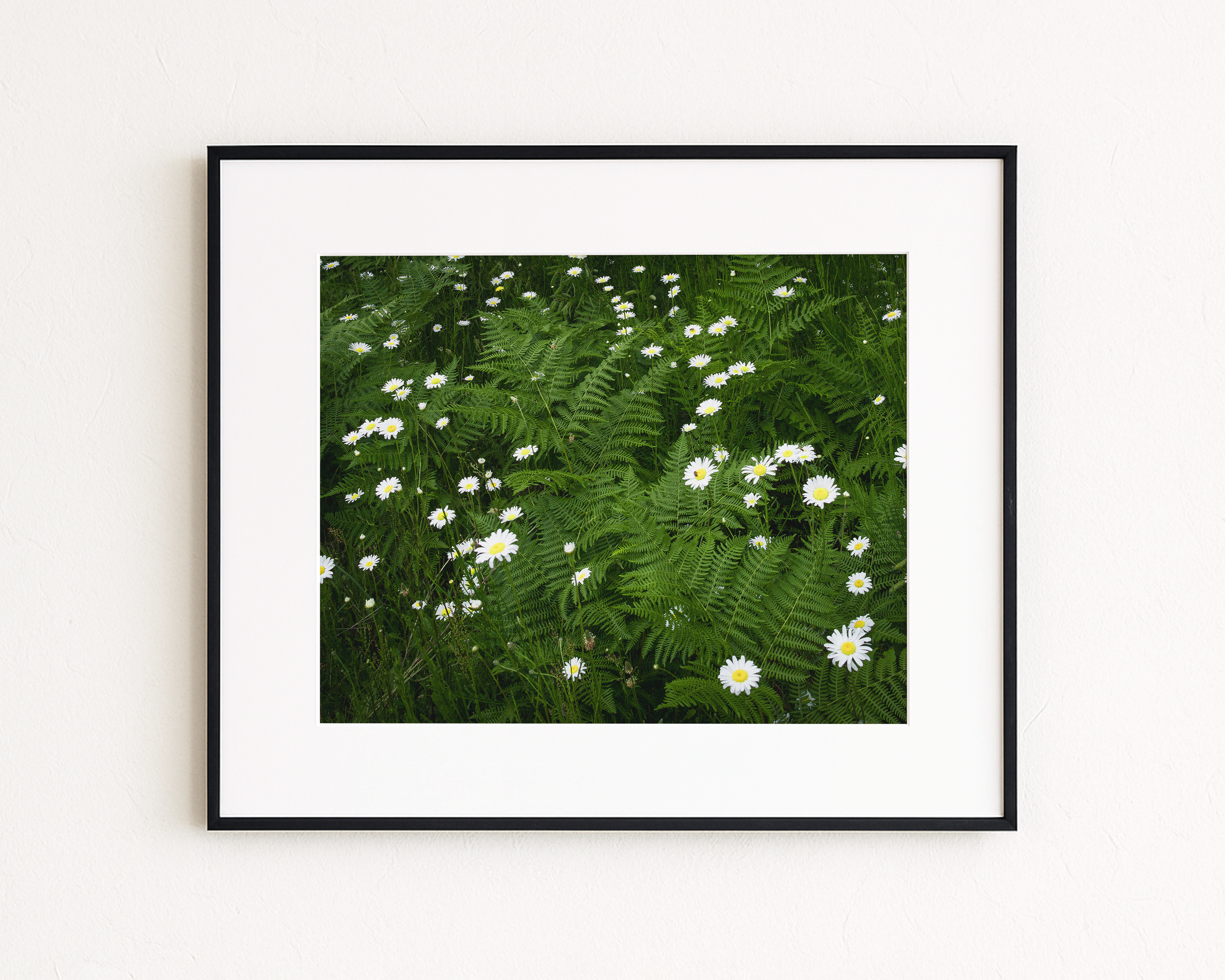 Framed Mockup 2 - Ferny Wonderland.png