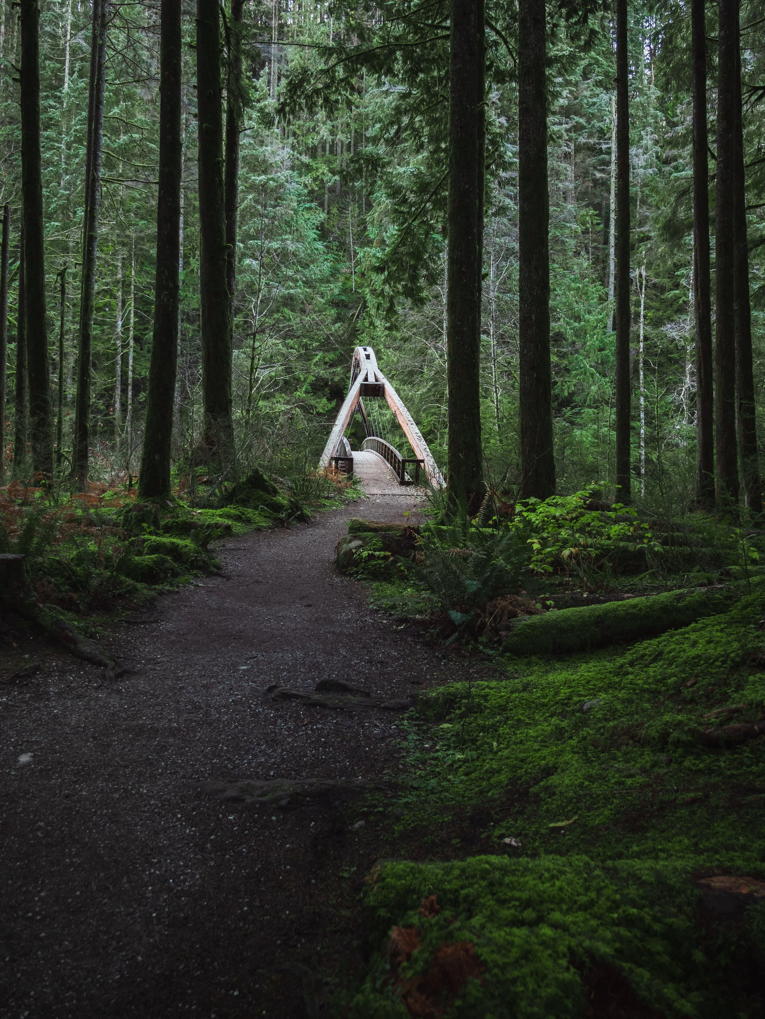 Spring Hiking in Washington State