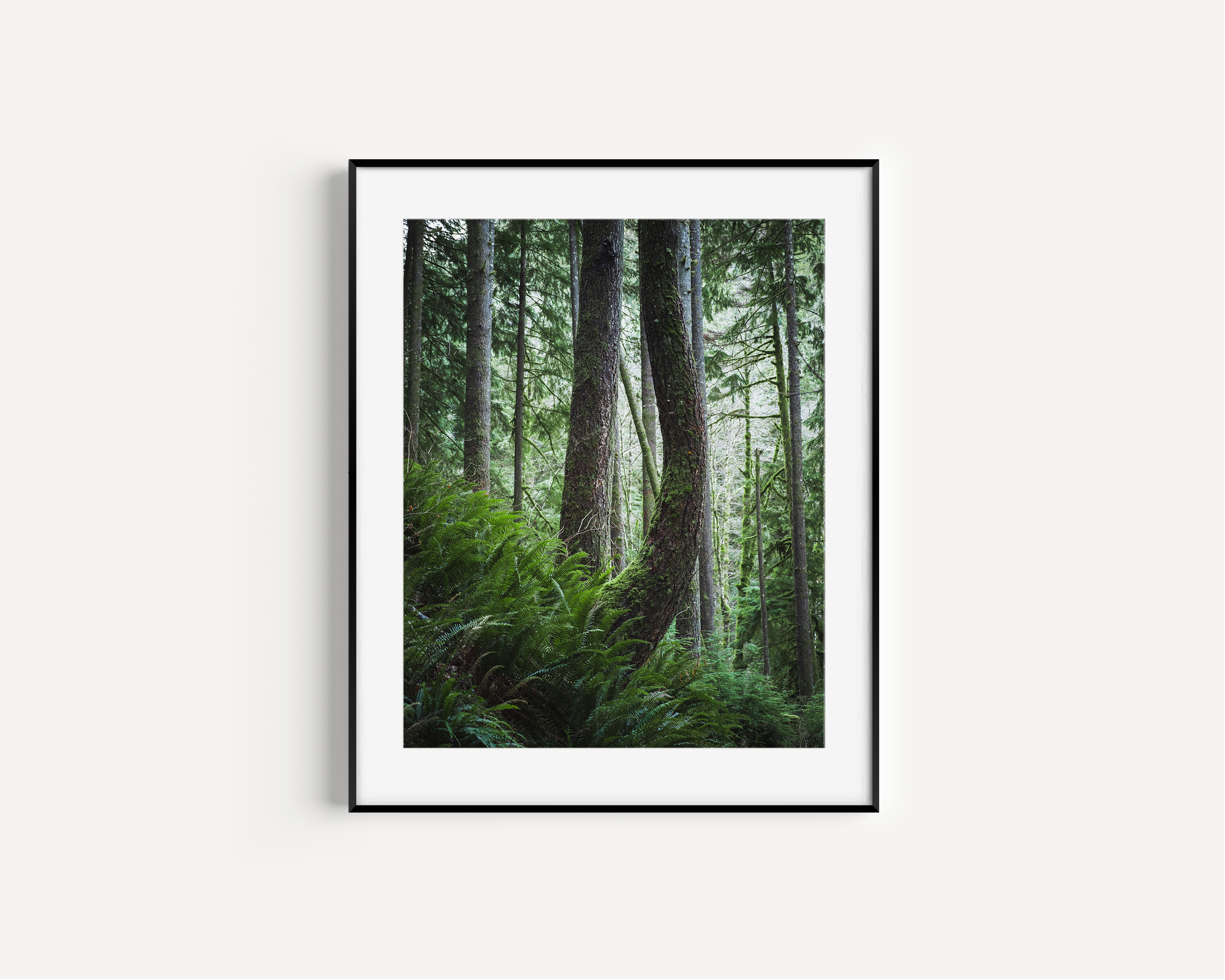 Framed Mockup 2 - Bent Tree.png