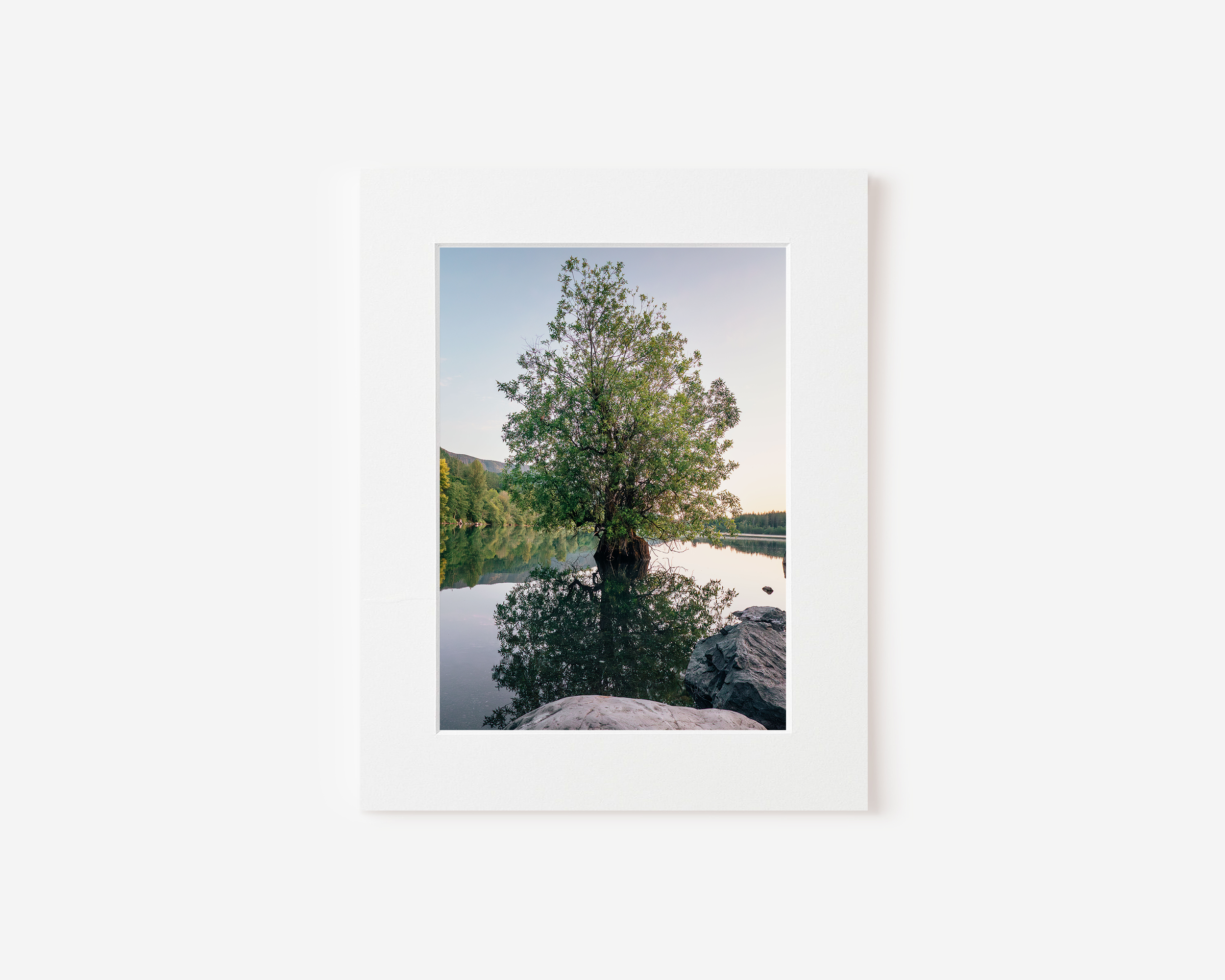 Matted Print - Tree in Lake.png