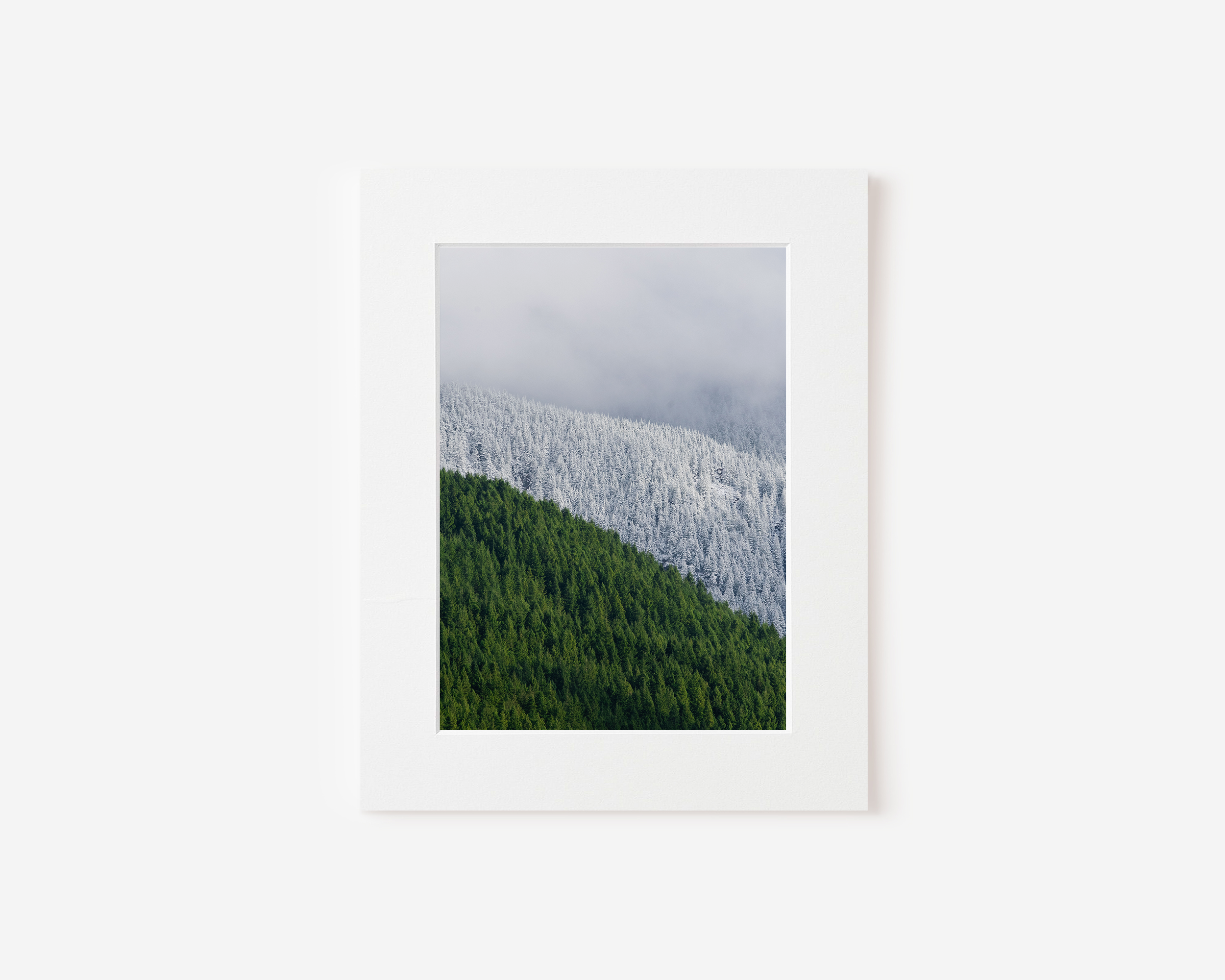 Dreamy Vibes on Mt Si Print