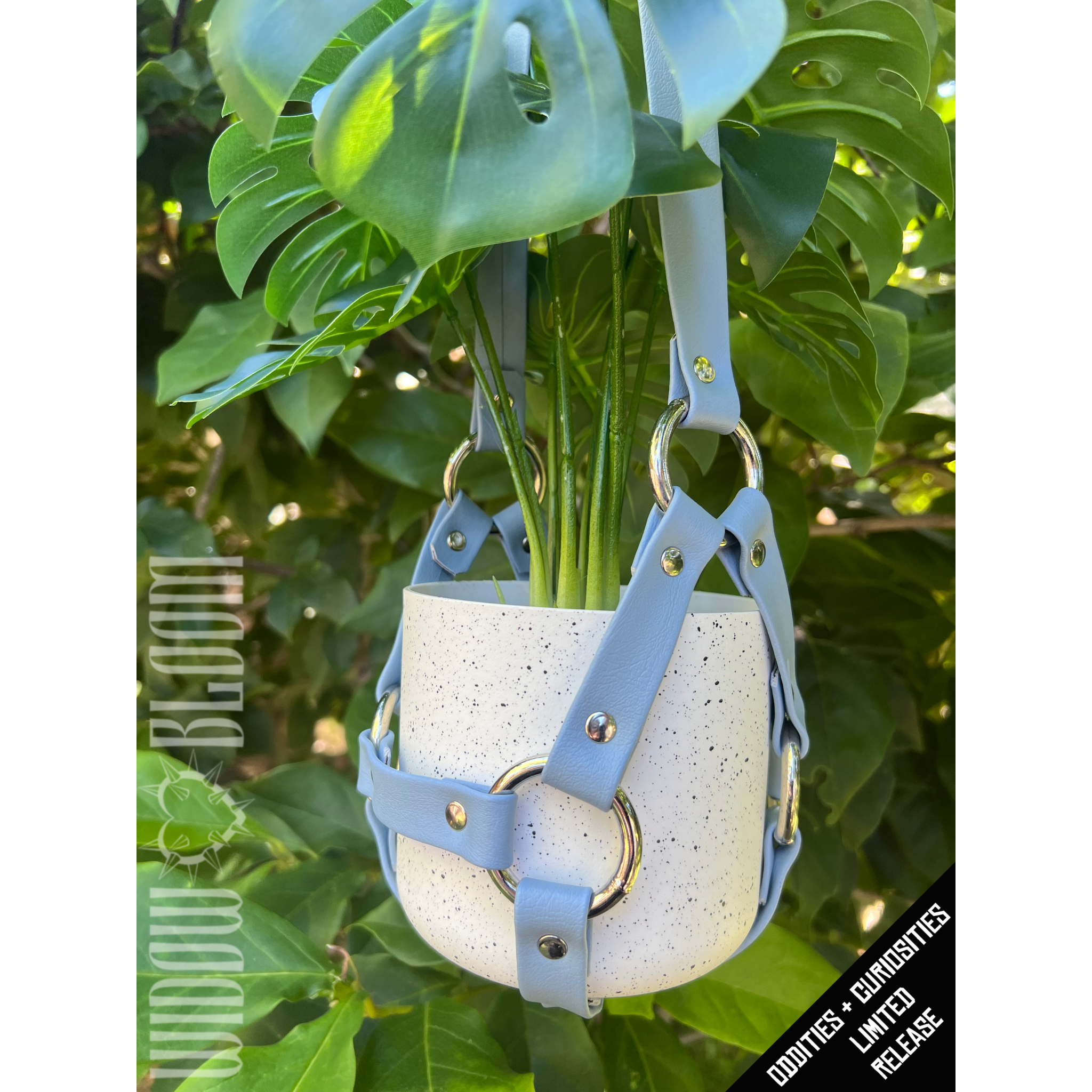 Baby Blue Plant Harness