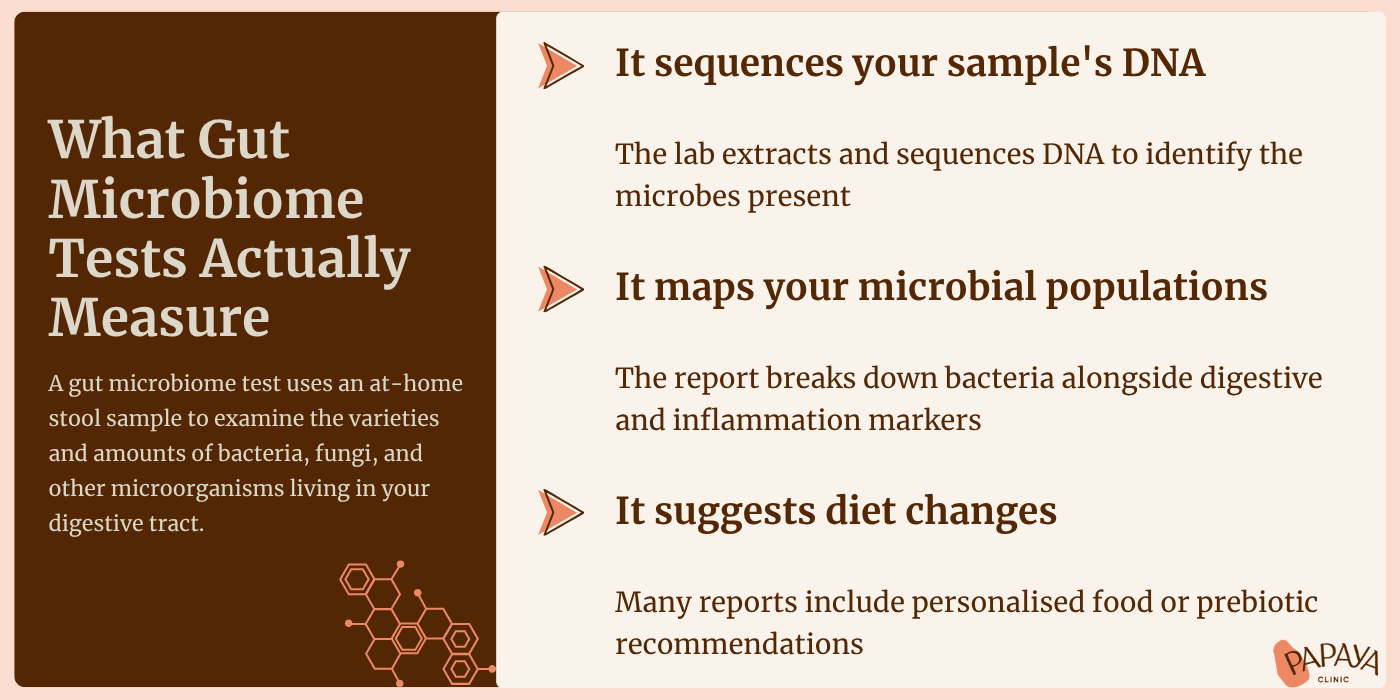 What is a gut microbiome test actually measuring