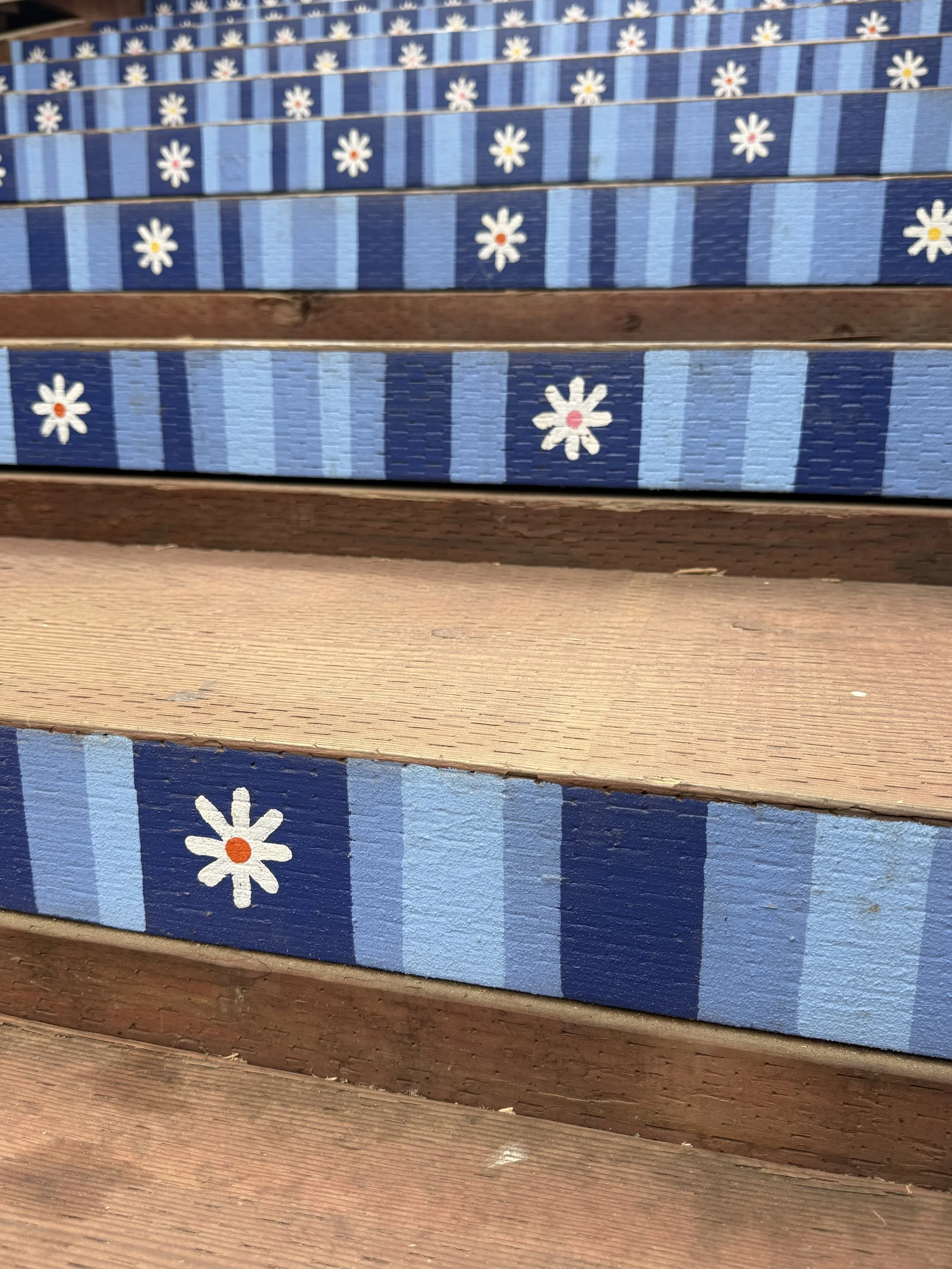 Daisy Rain Steps