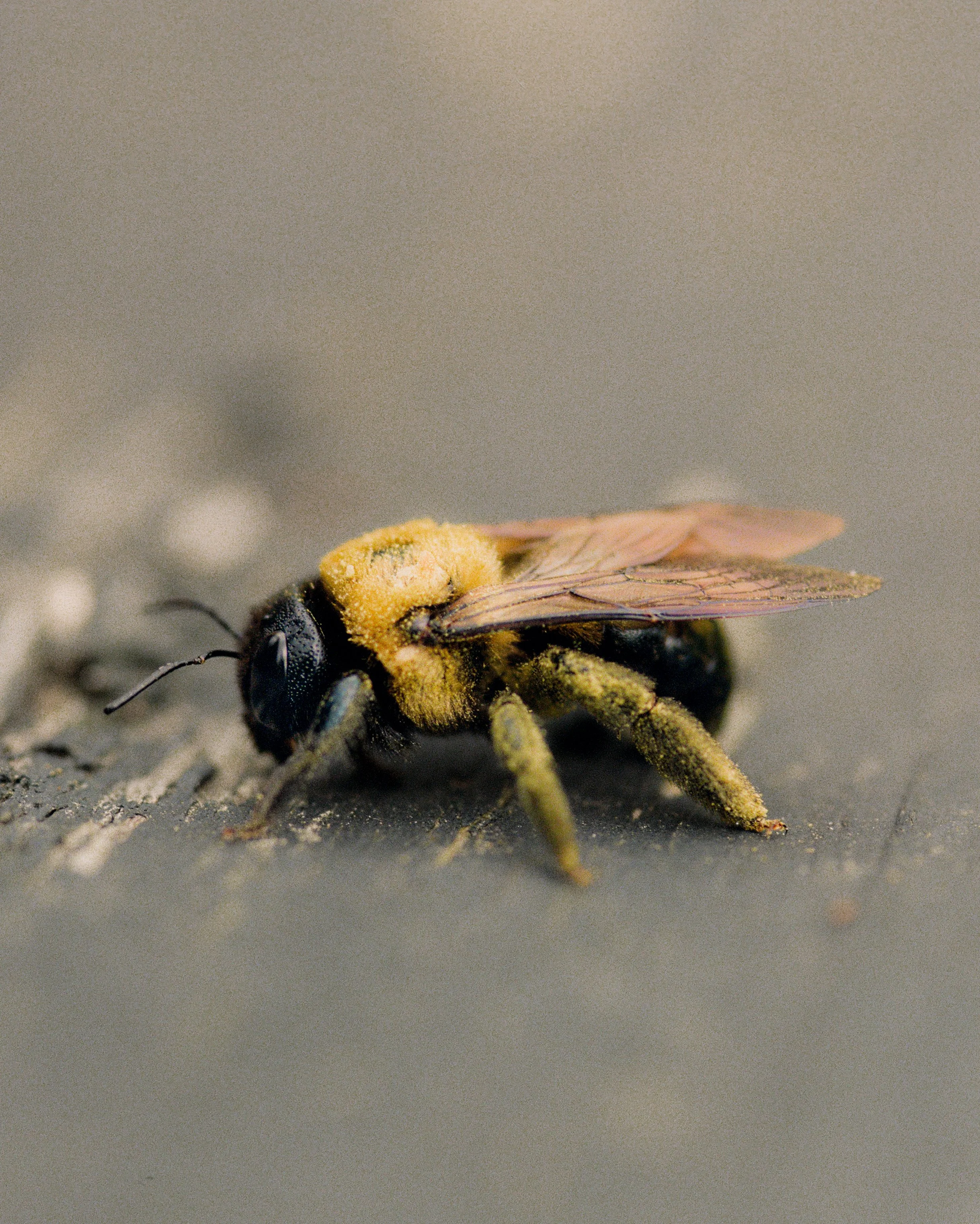 7626_0005.jpg