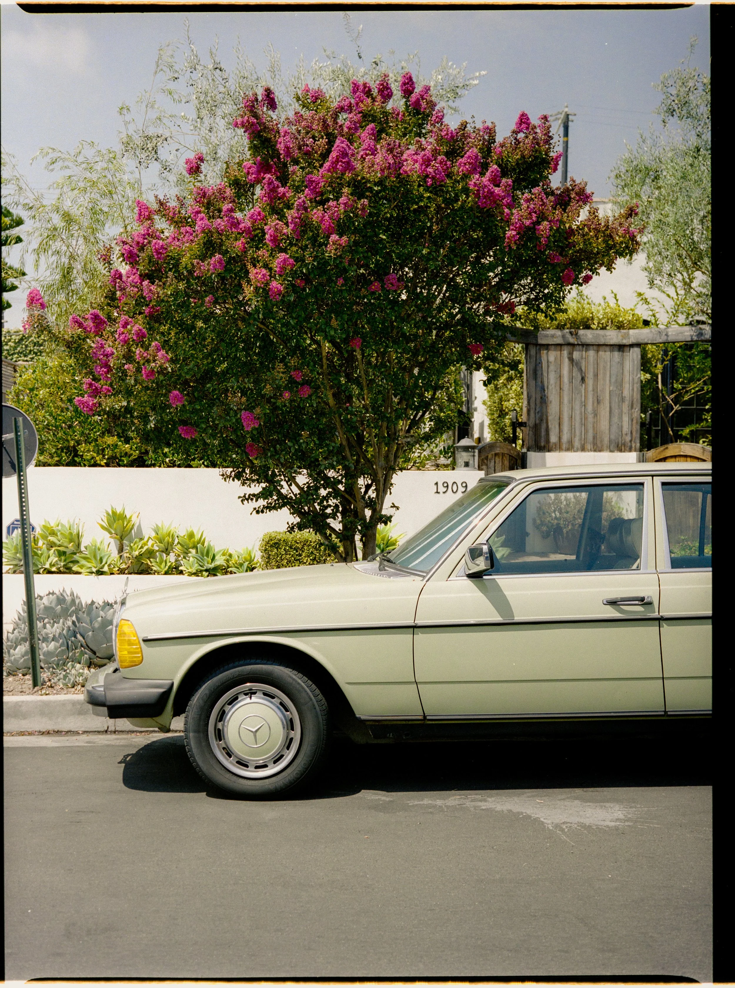 losFeliz_web.jpg