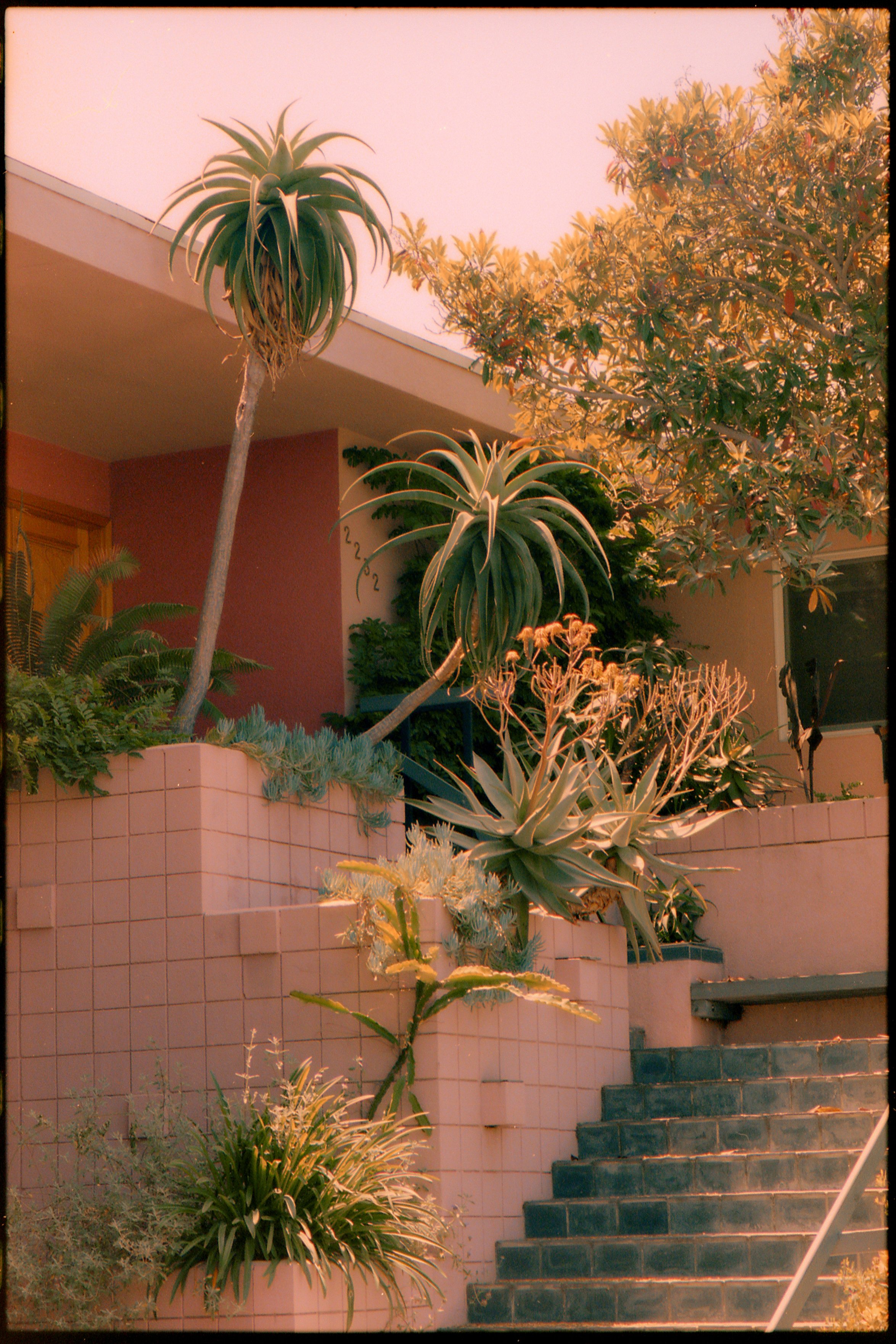junescan_005.jpg