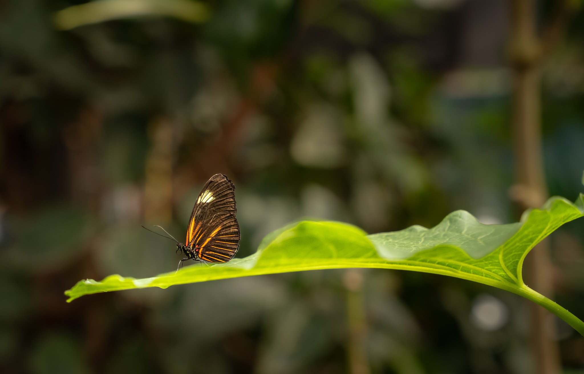 20230722-DSC01299-Web.jpg