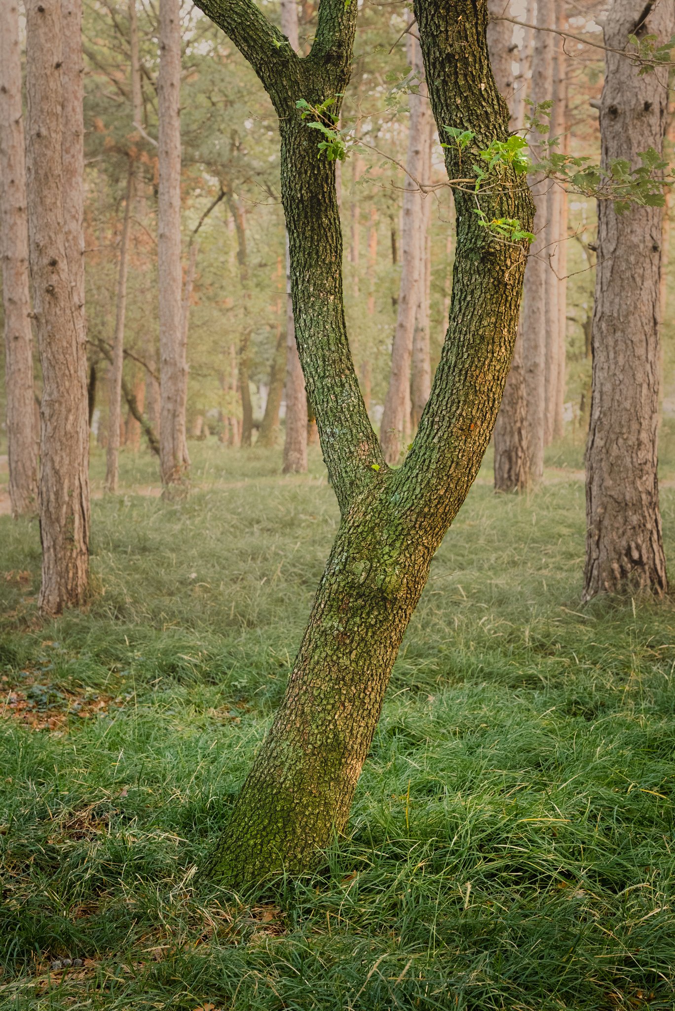 20221026-DSC01302-Edit-Web.jpg