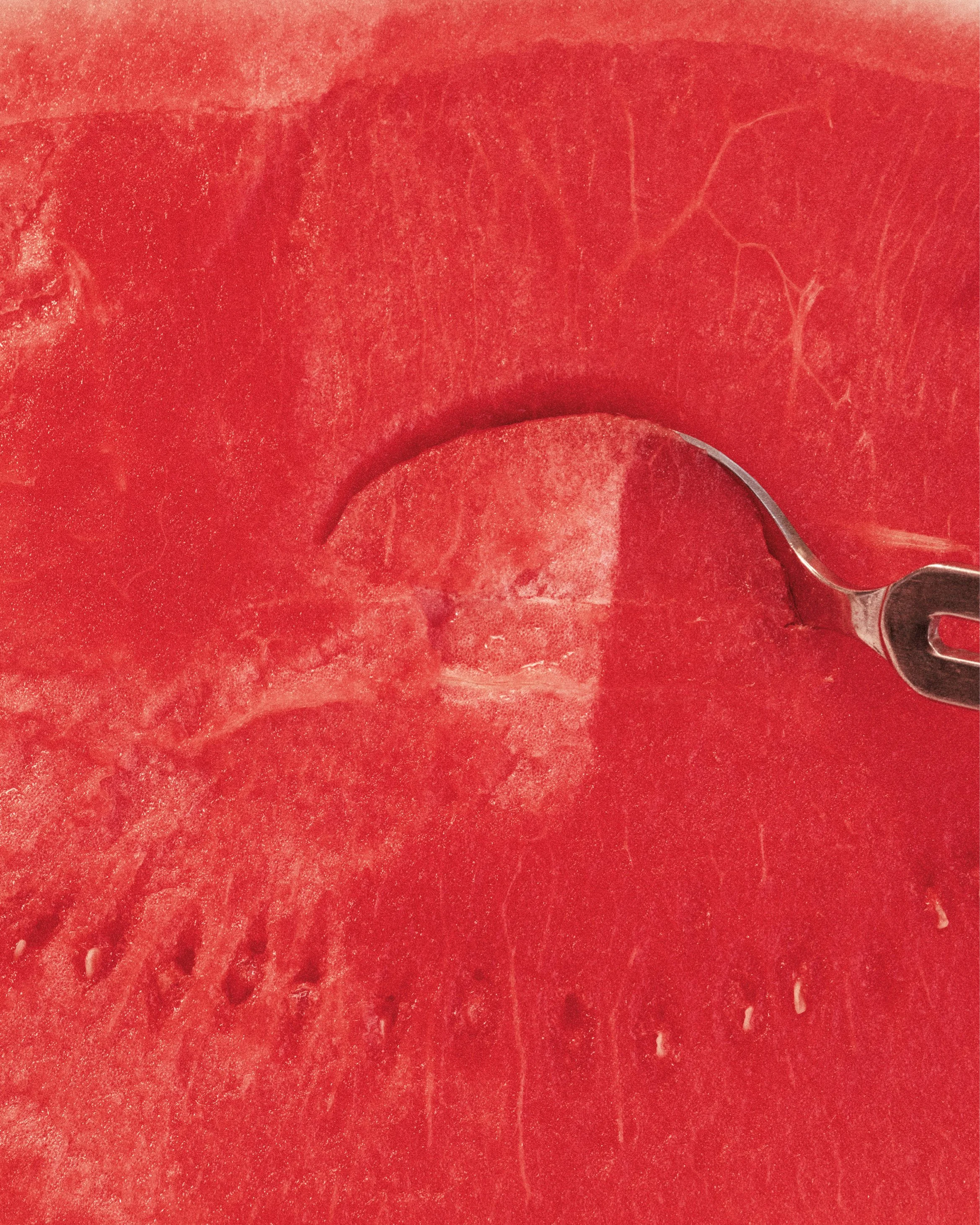 WP_LIFESTYLE_WATERMELON 1_CROP.jpg