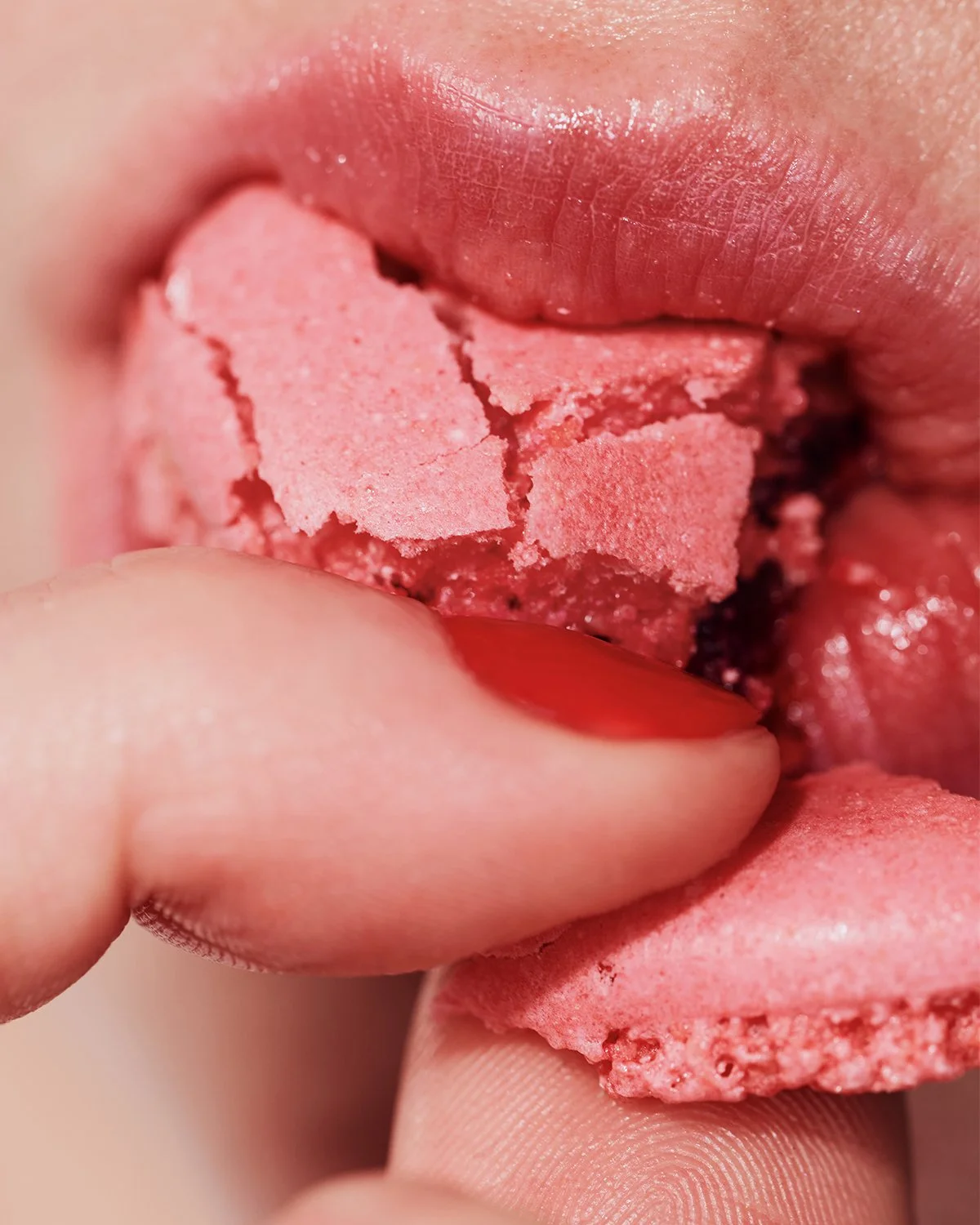COL_07_BetinaduToit_Lychee_Rose_1165_4x5.jpg