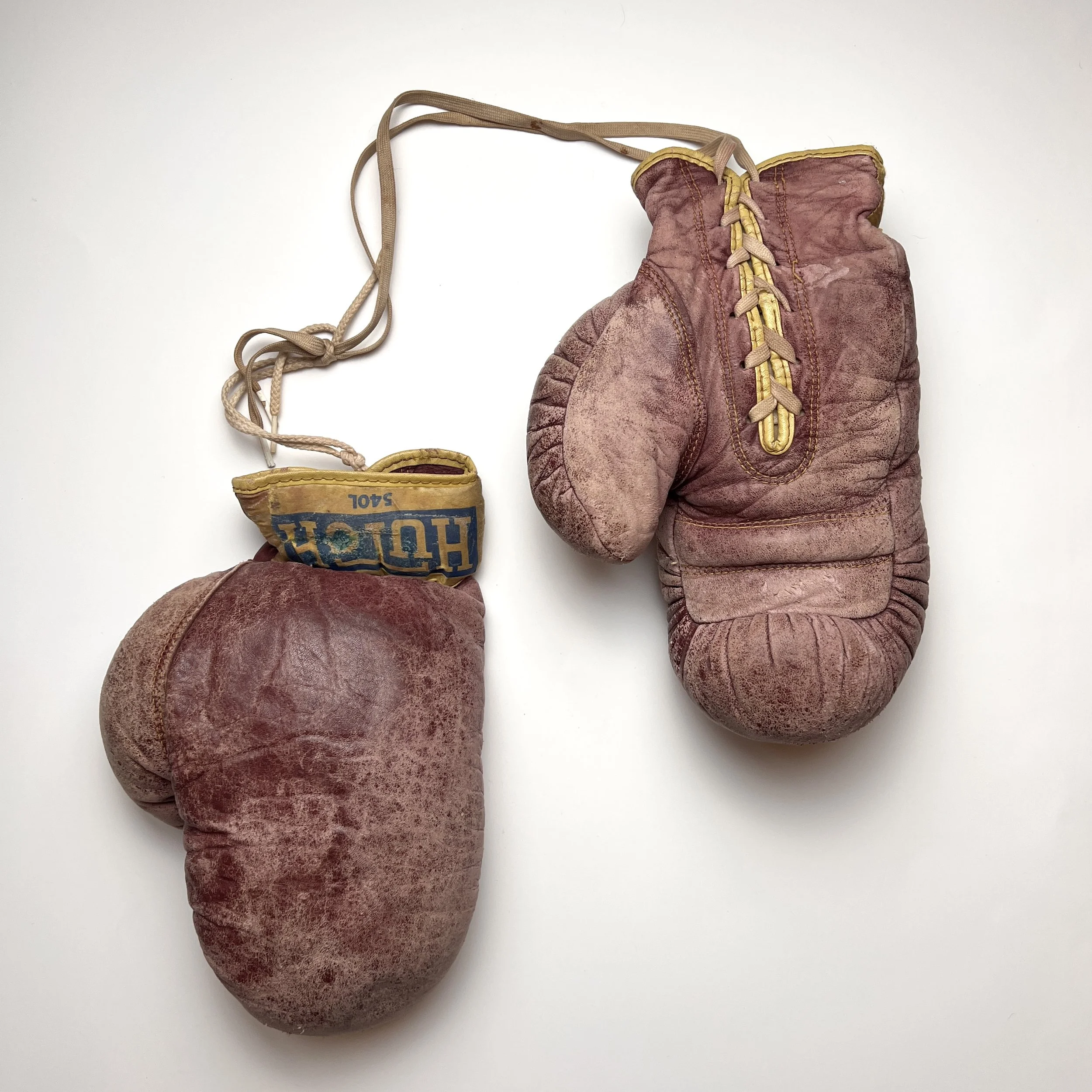 Vintage Boxing Gloves