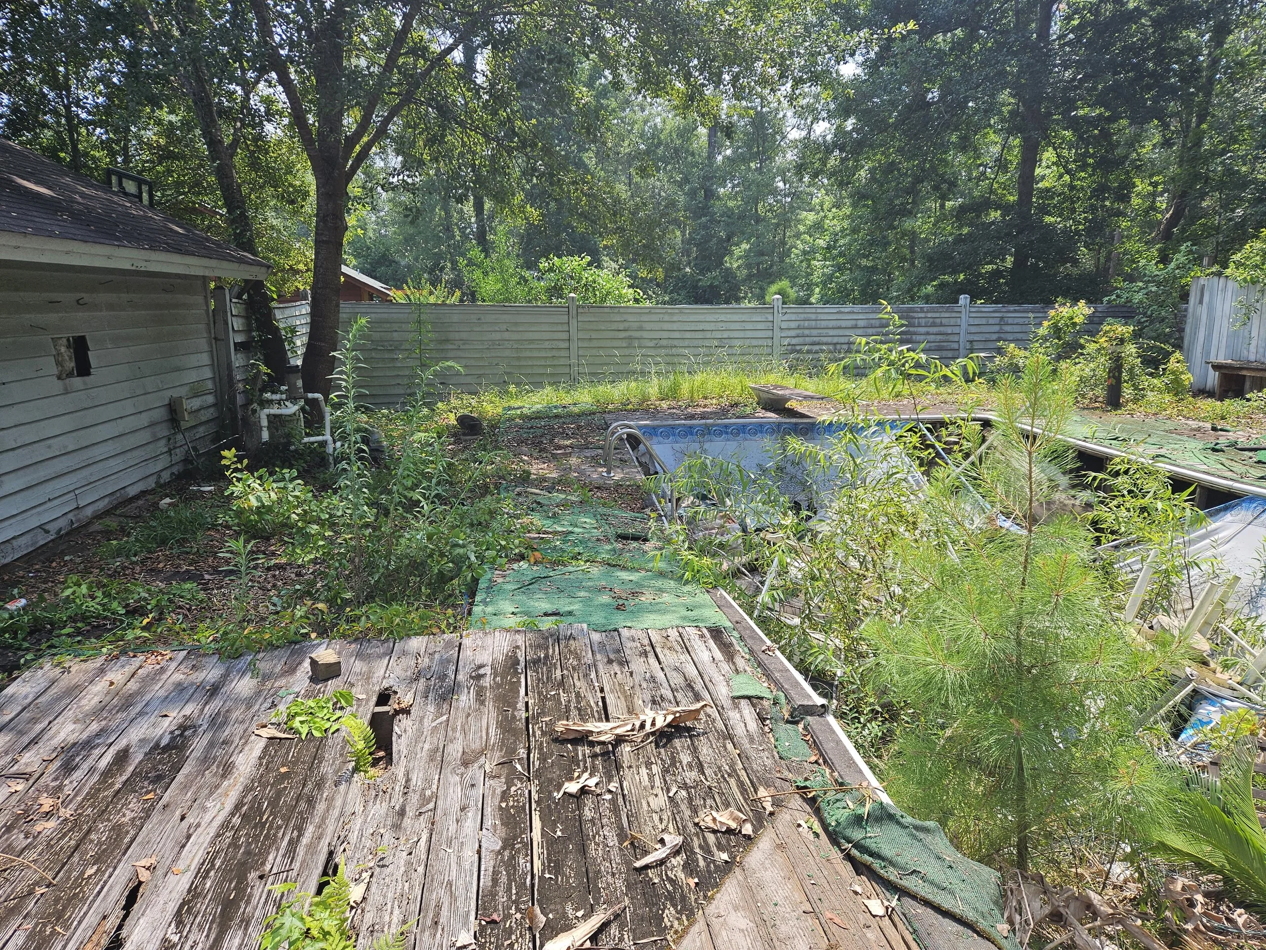 20230701_120924.jpg