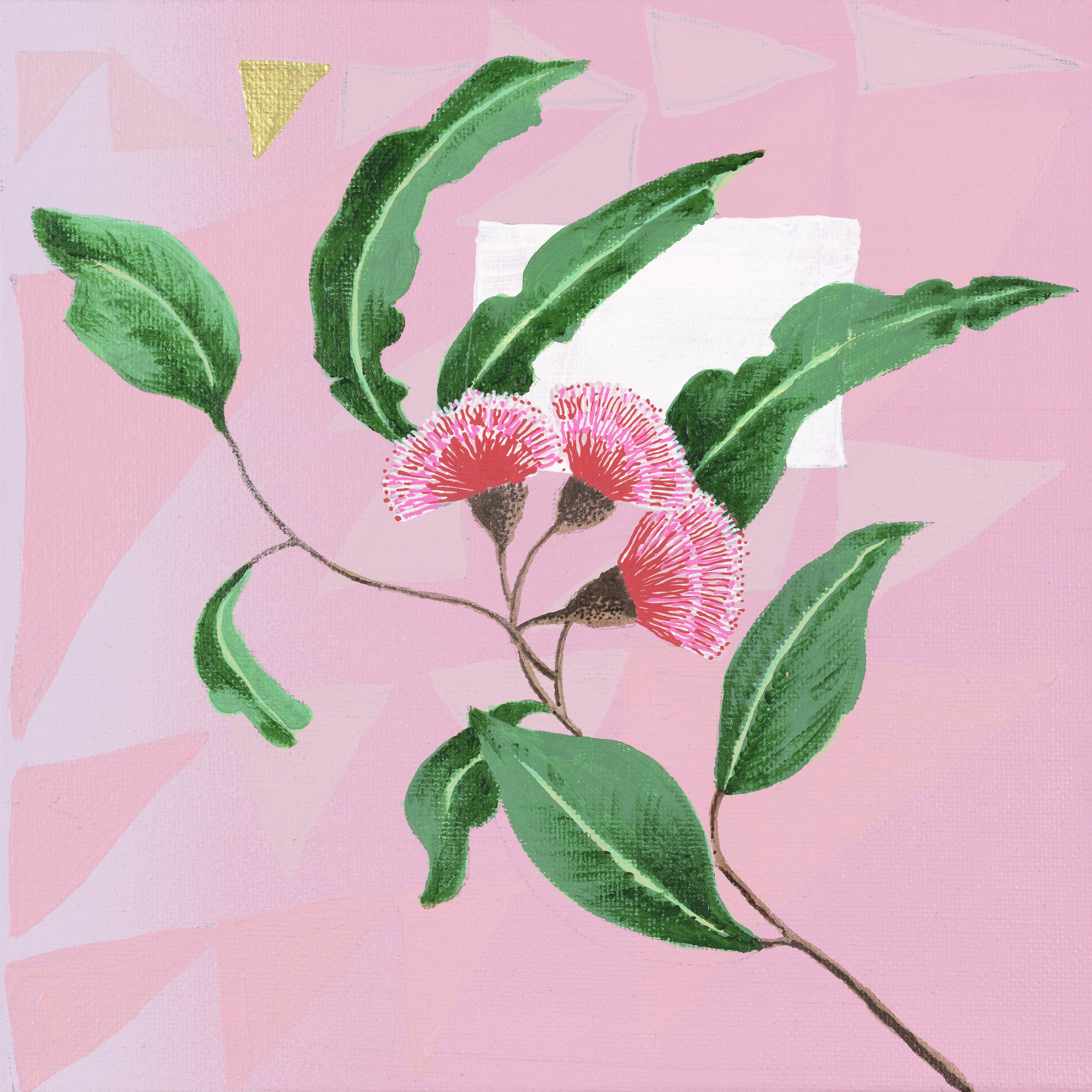 "Pink Gum" ($280) - 200 X 200 mm - Canvas, Framed