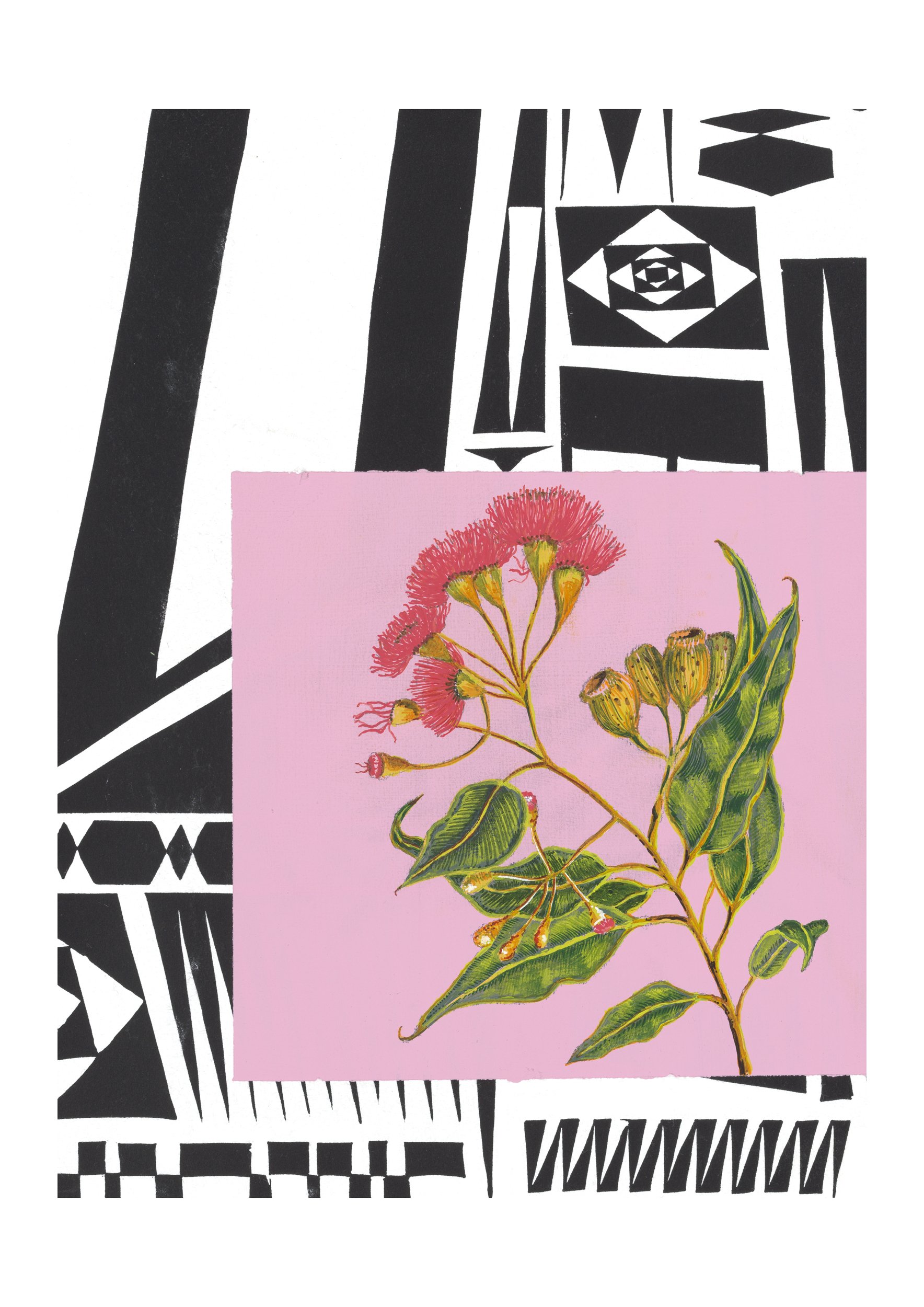 Pink Gum (A3) - $180