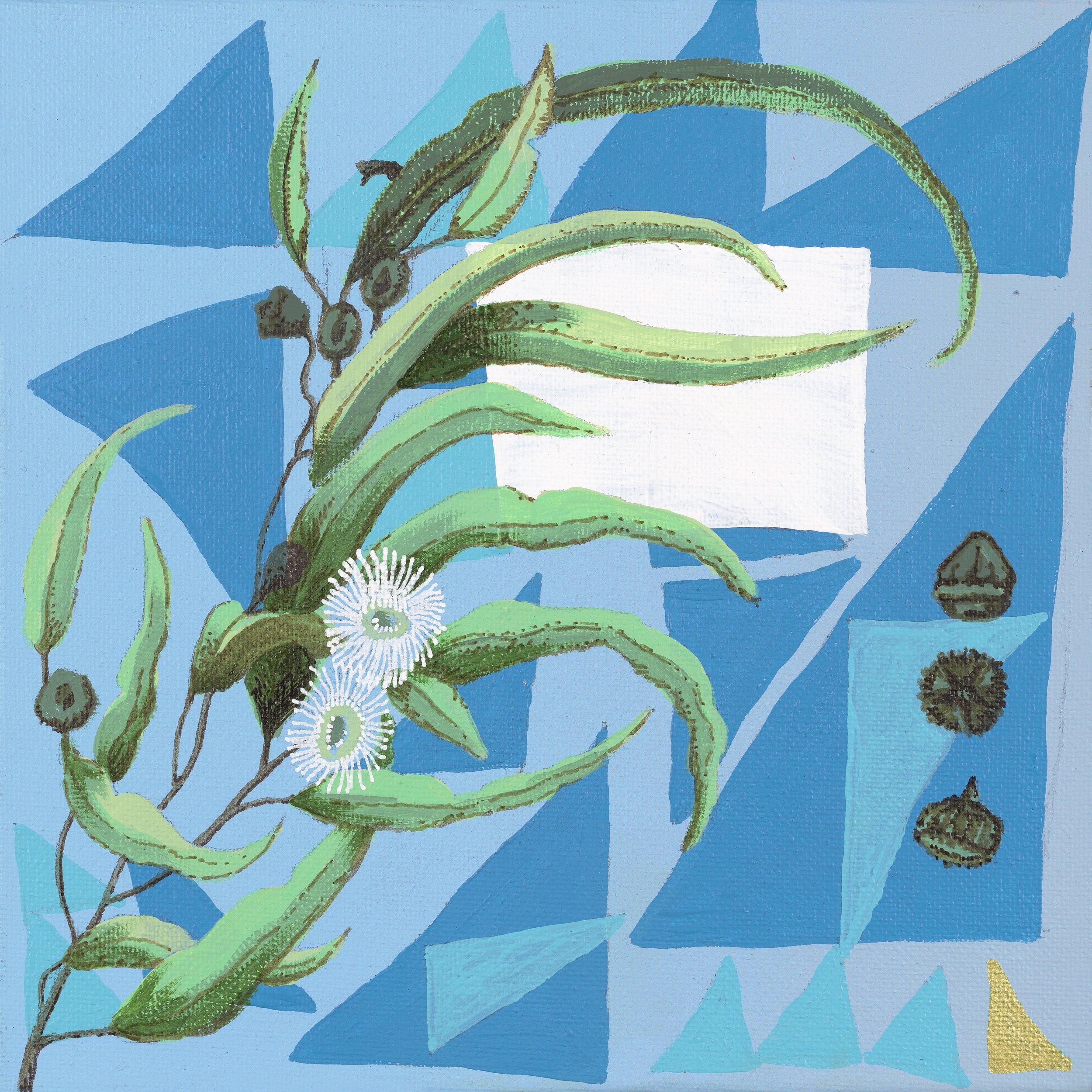 (SOLD) "Blue Gum"