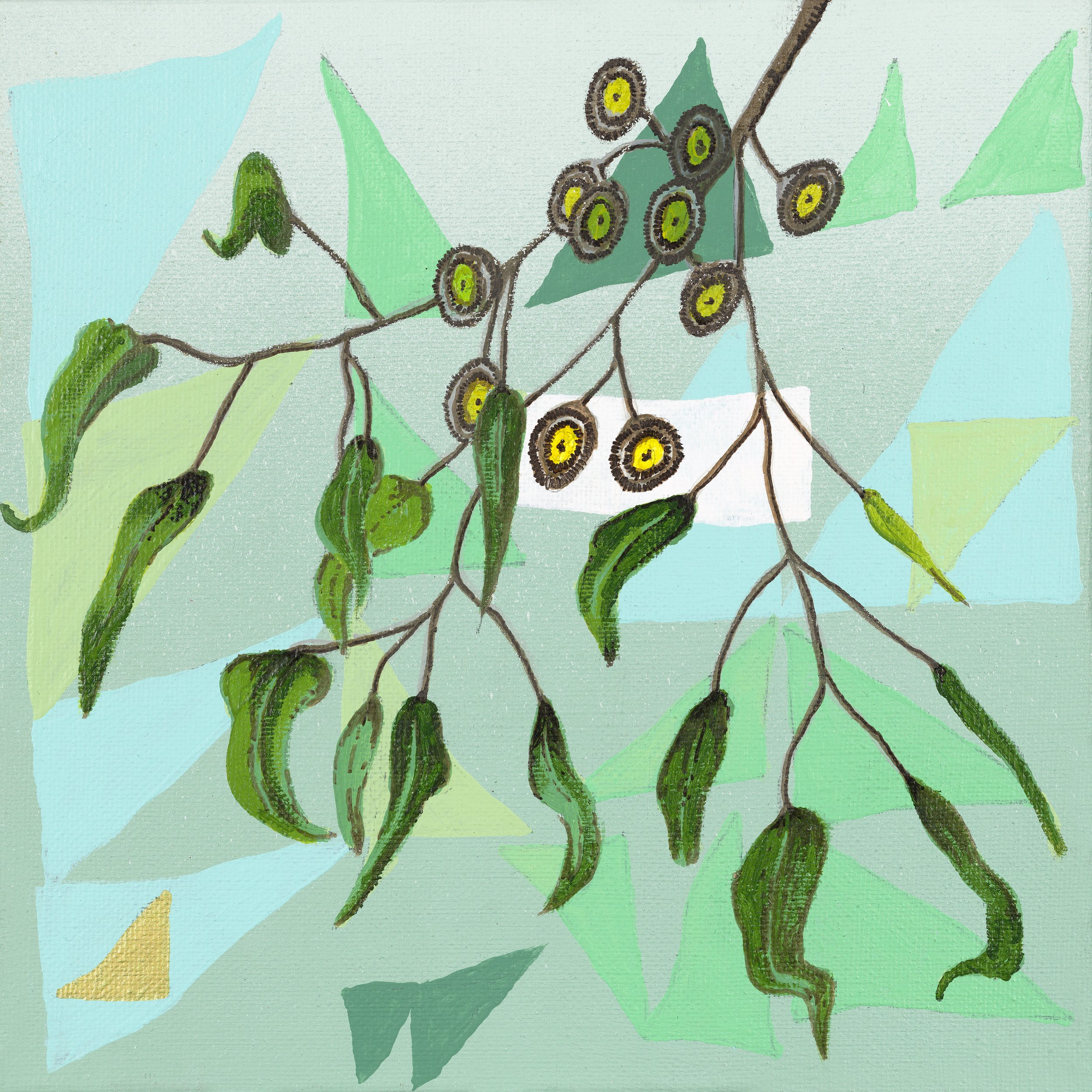 "Green Gum" ($280) - 200 X 200 mm - Canvas, Framed
