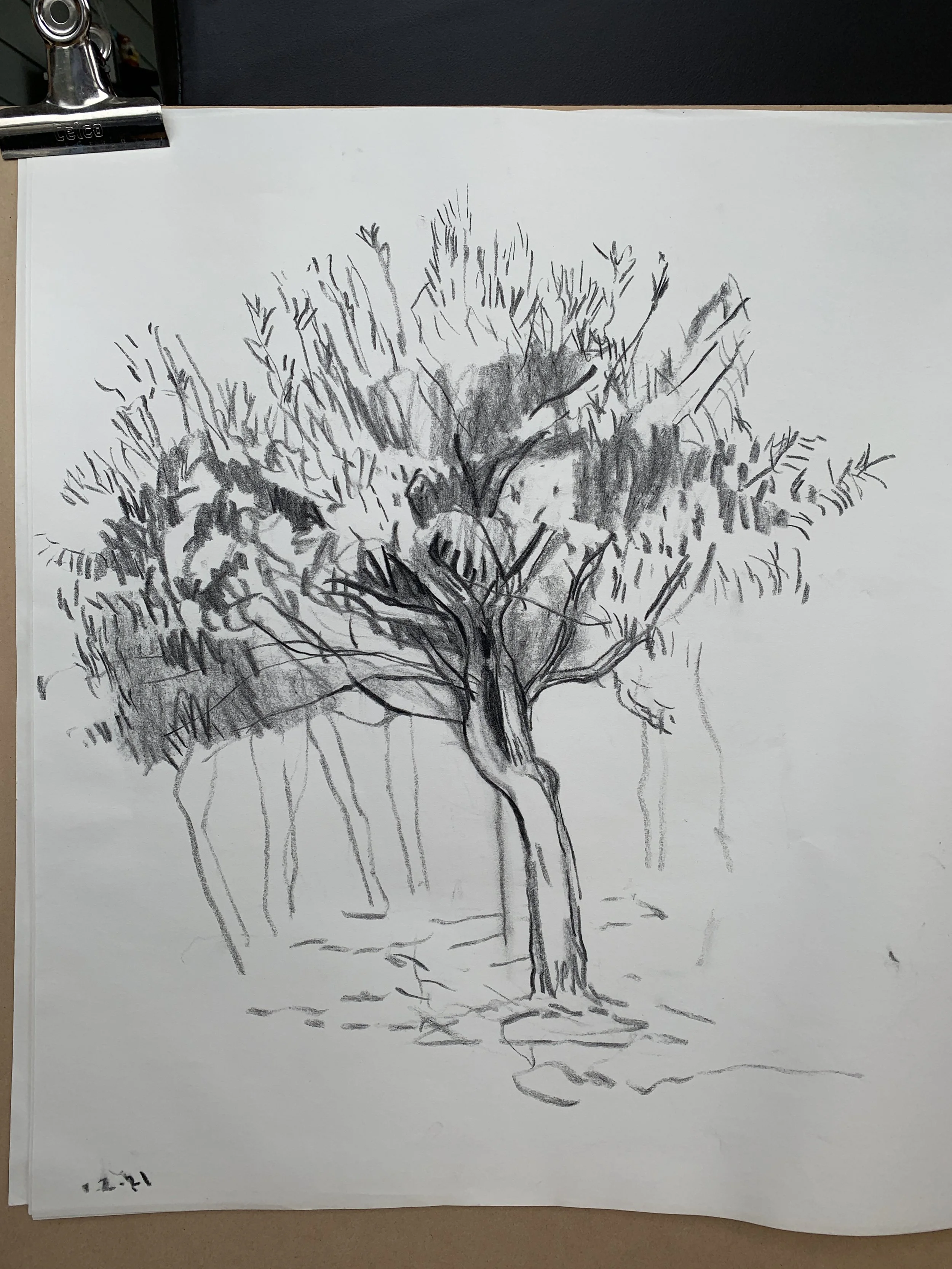 IMG_1646.jpeg