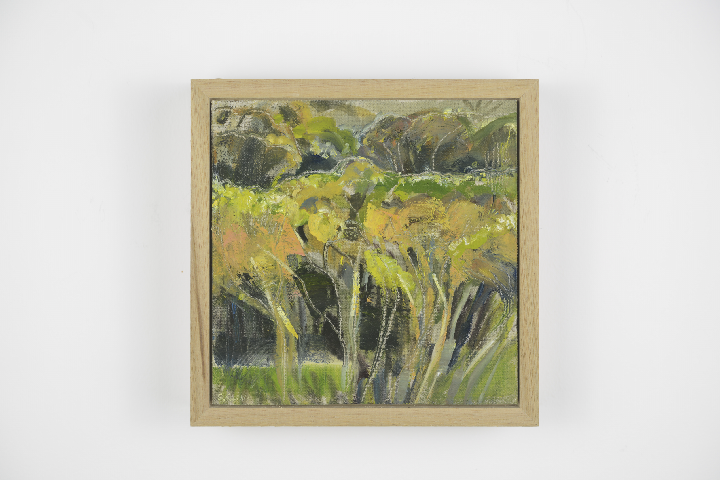 Bushland layers, Oil on linen board, 15 x 15cm, $270