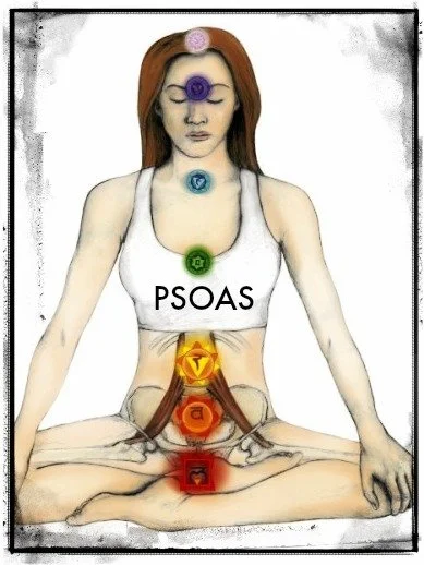 Psychedelics, Psoas, & Somatics