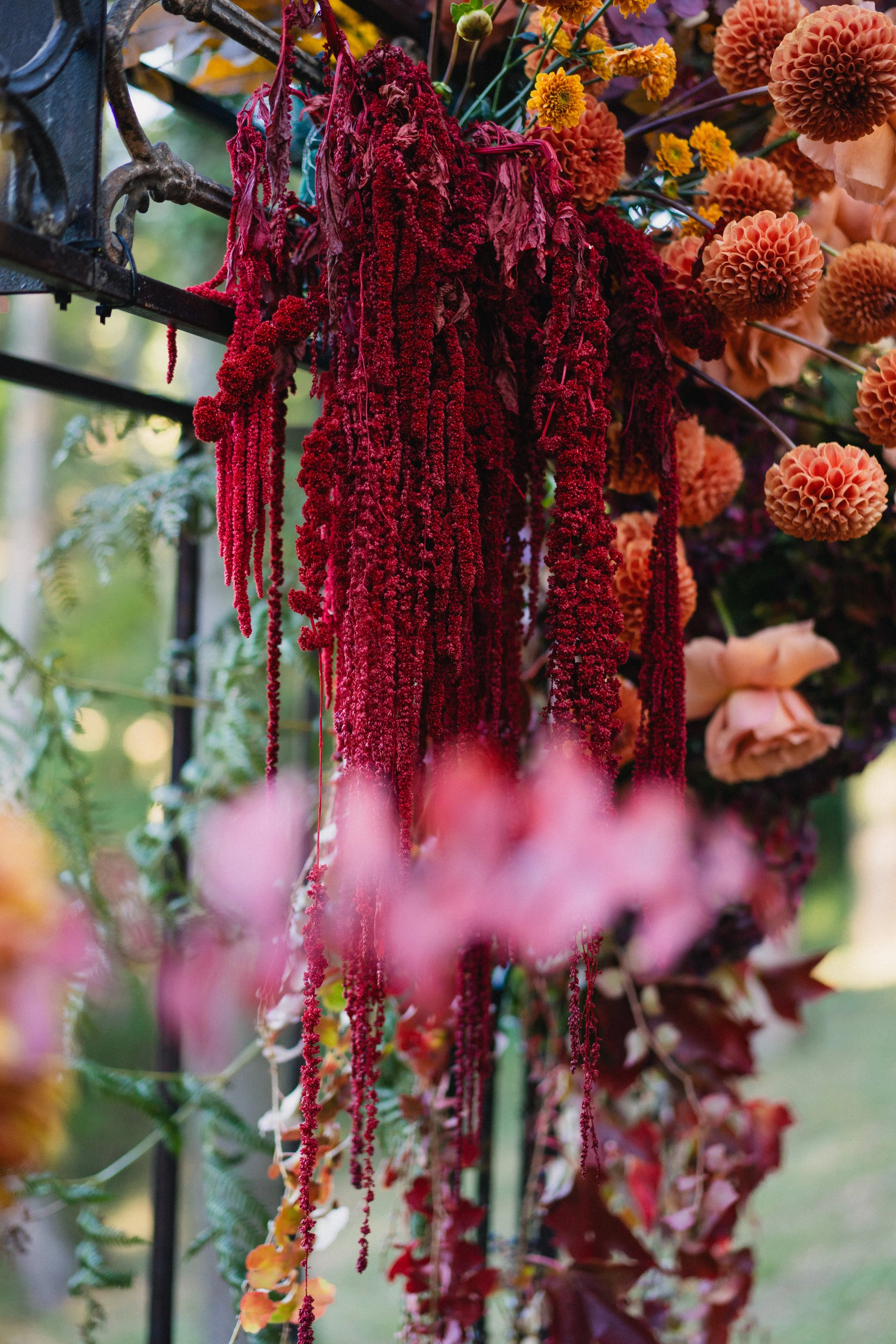 ORIANA ANDREA-5 copia.jpg