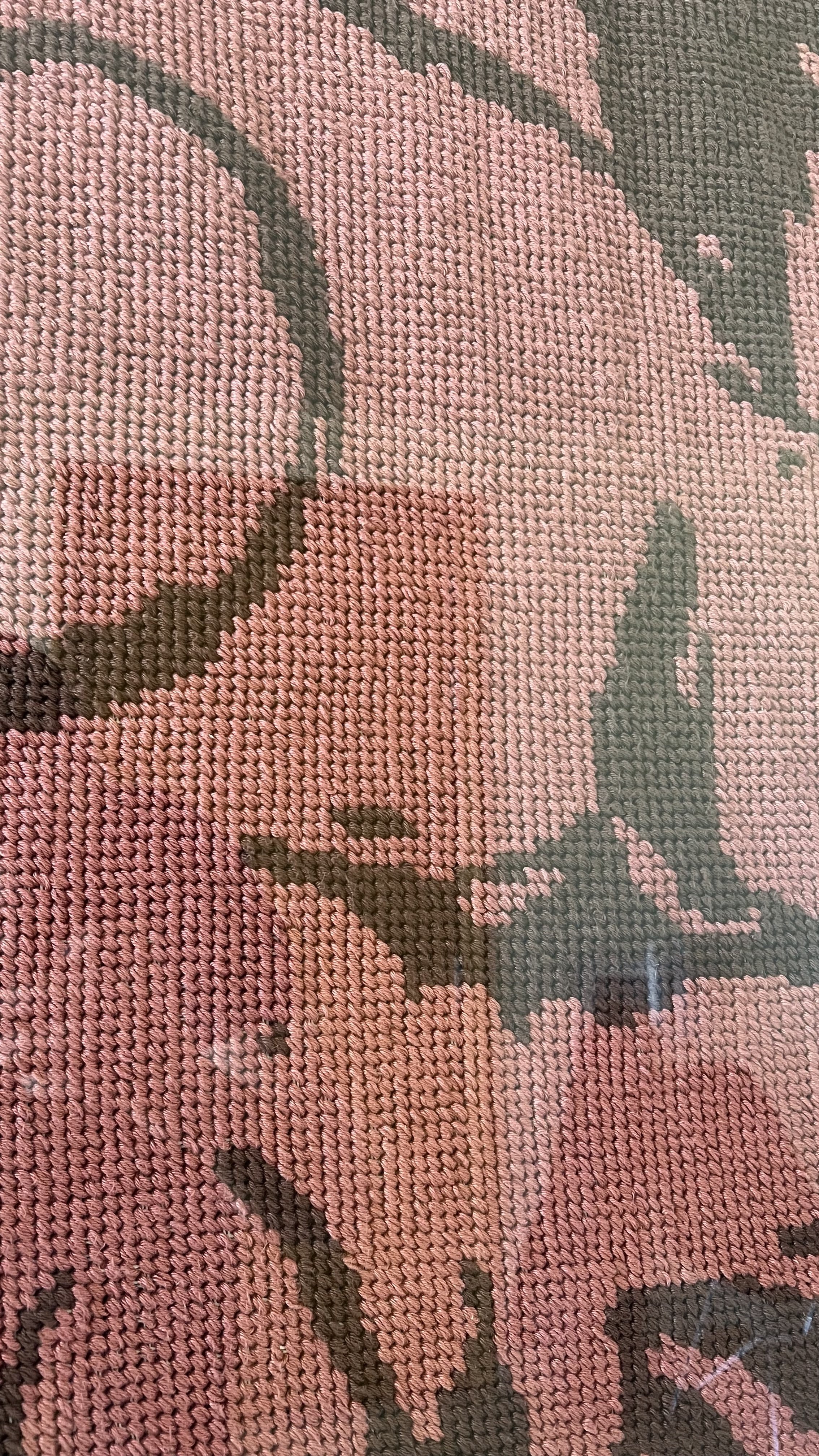 prairie boar - close-up.jpeg