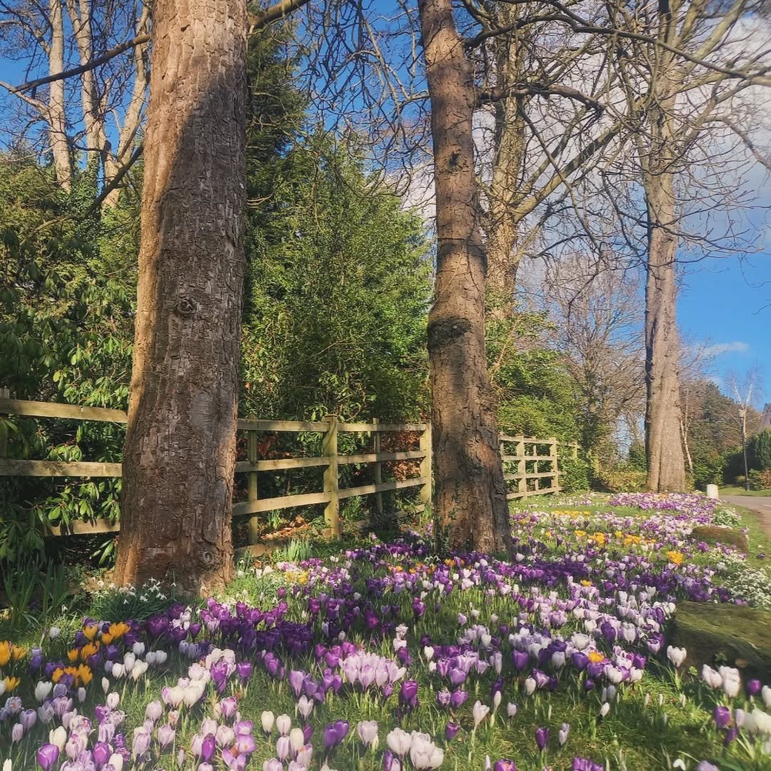 Spring on its way!!
Wait and see what unfolds...

#martananny 
#childcaredevon
#martadoula 
#martadorca
#postnatalsupport