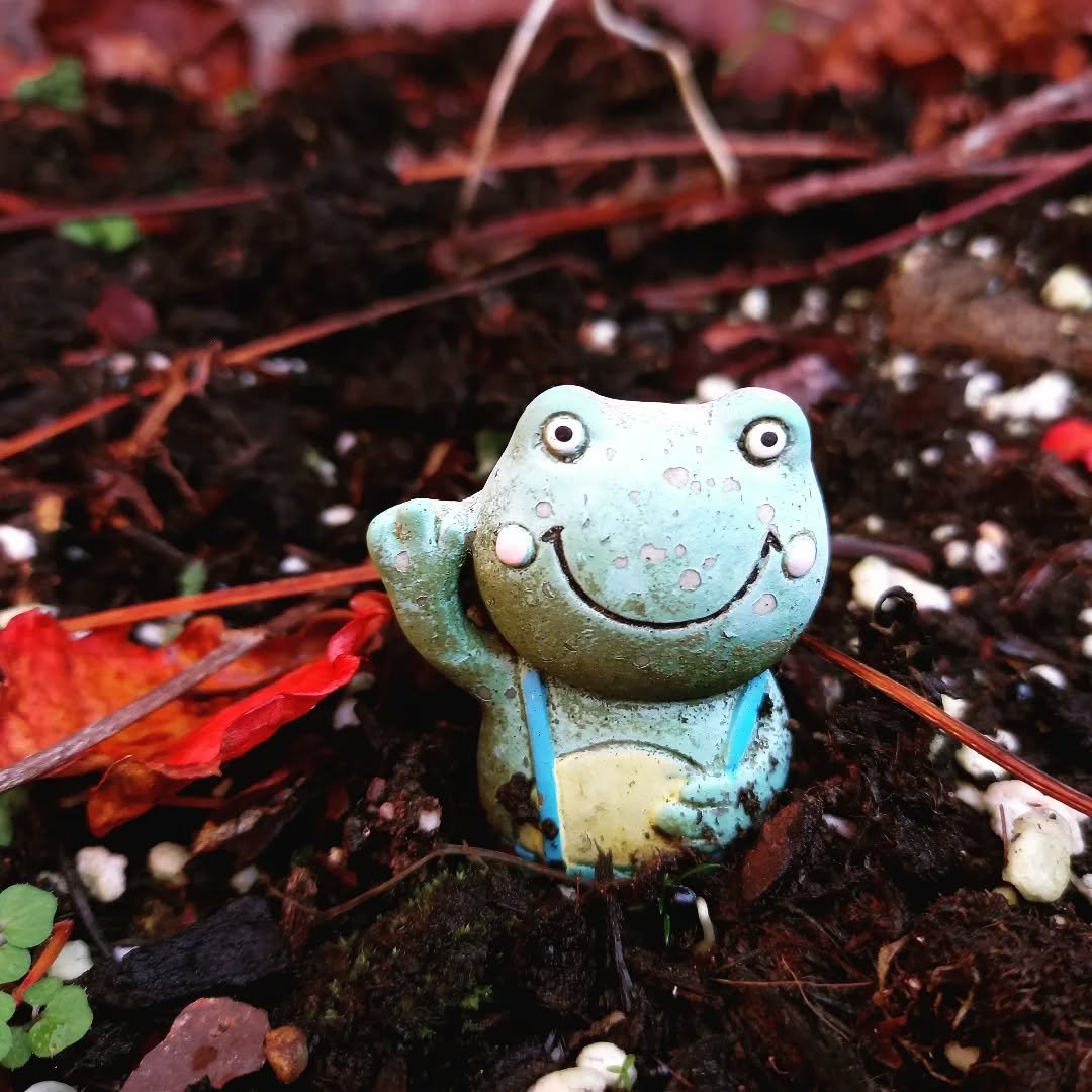 FROM NOW ON FIND ME on email, through the website, or come and say Hello face to face😊

www.martadorca.com
marta.dorca@gmail.com

I am just taking a break from social media for a while🙏 gathering energy and new ideas💫

I am still working, dedicate