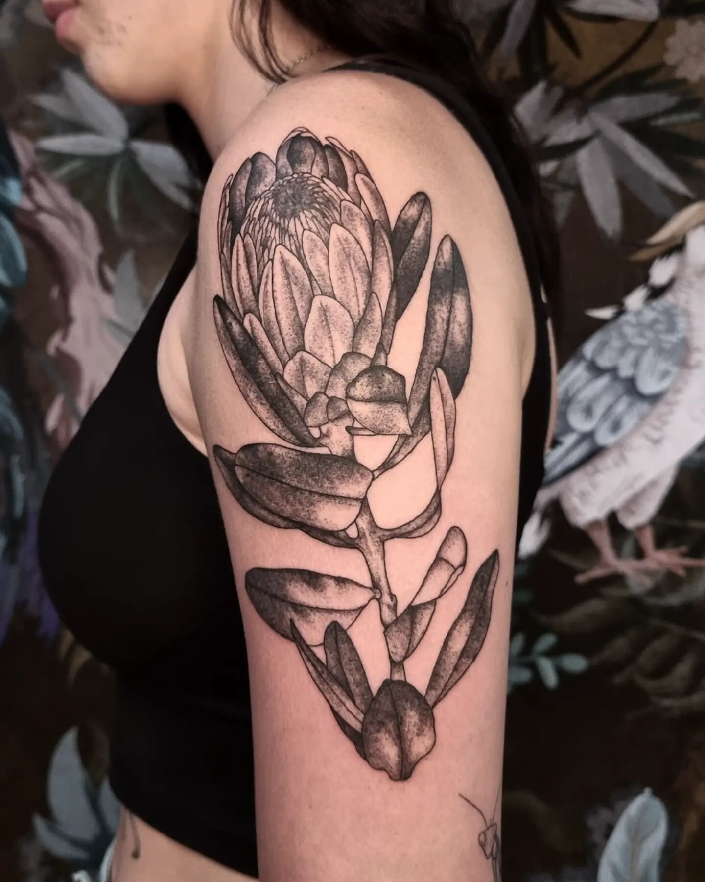 A protea for Abby! Thank you so so much for trusting me with this piece, I had the best day with you. Can't wait to add more!! 🌿
.
.
.
.
.
#proteatattoo #flowertattoo #floraltattoo #botanicaltattoo #botanicalillustration #naturetattoo #illustrativet