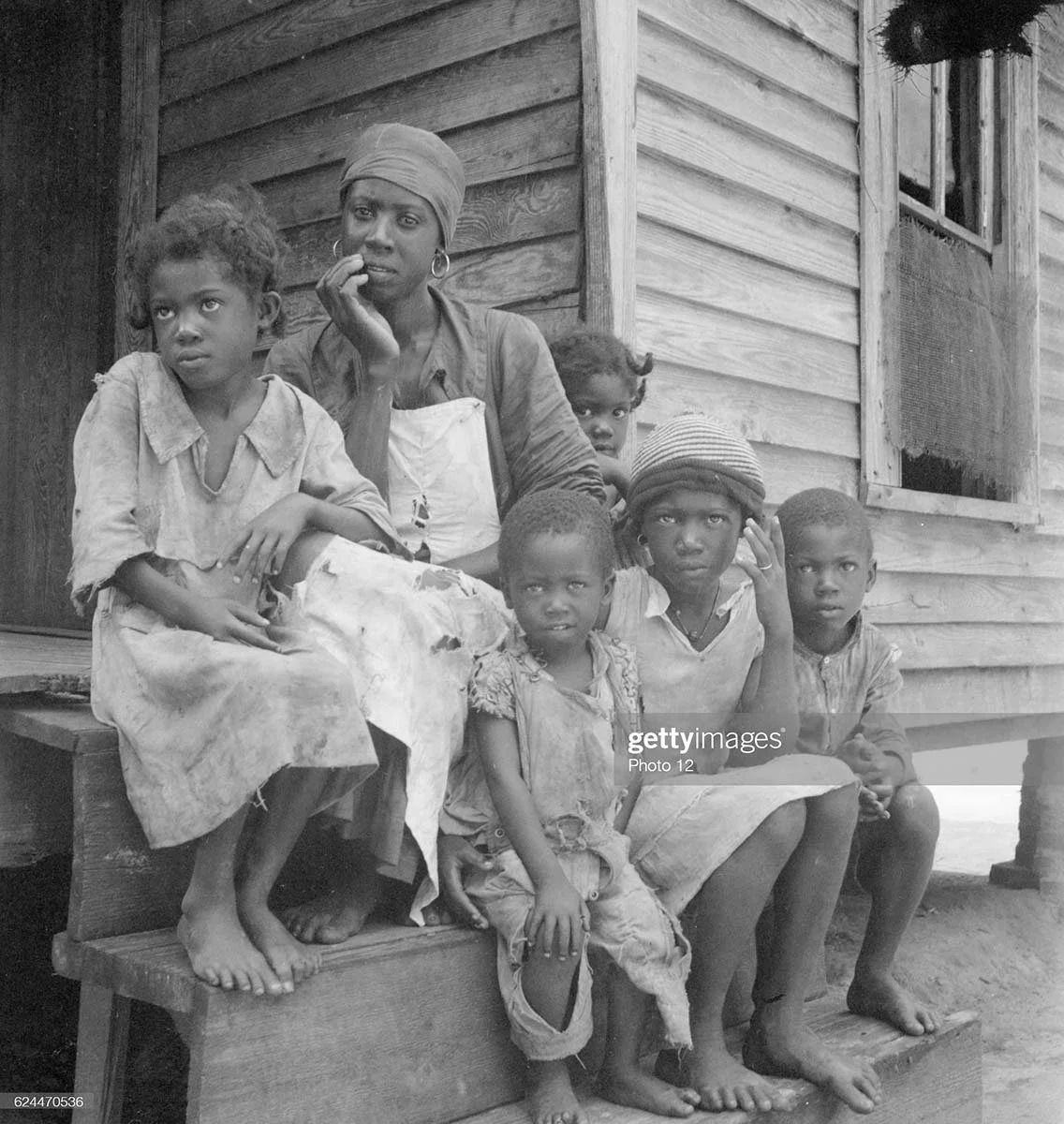 The five W’s: Who, What, Where, When, and Why will be answered in my following five blogs introducing Song of Jaybird.&nbsp;