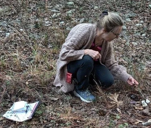 The WHY of Song of Jaybird