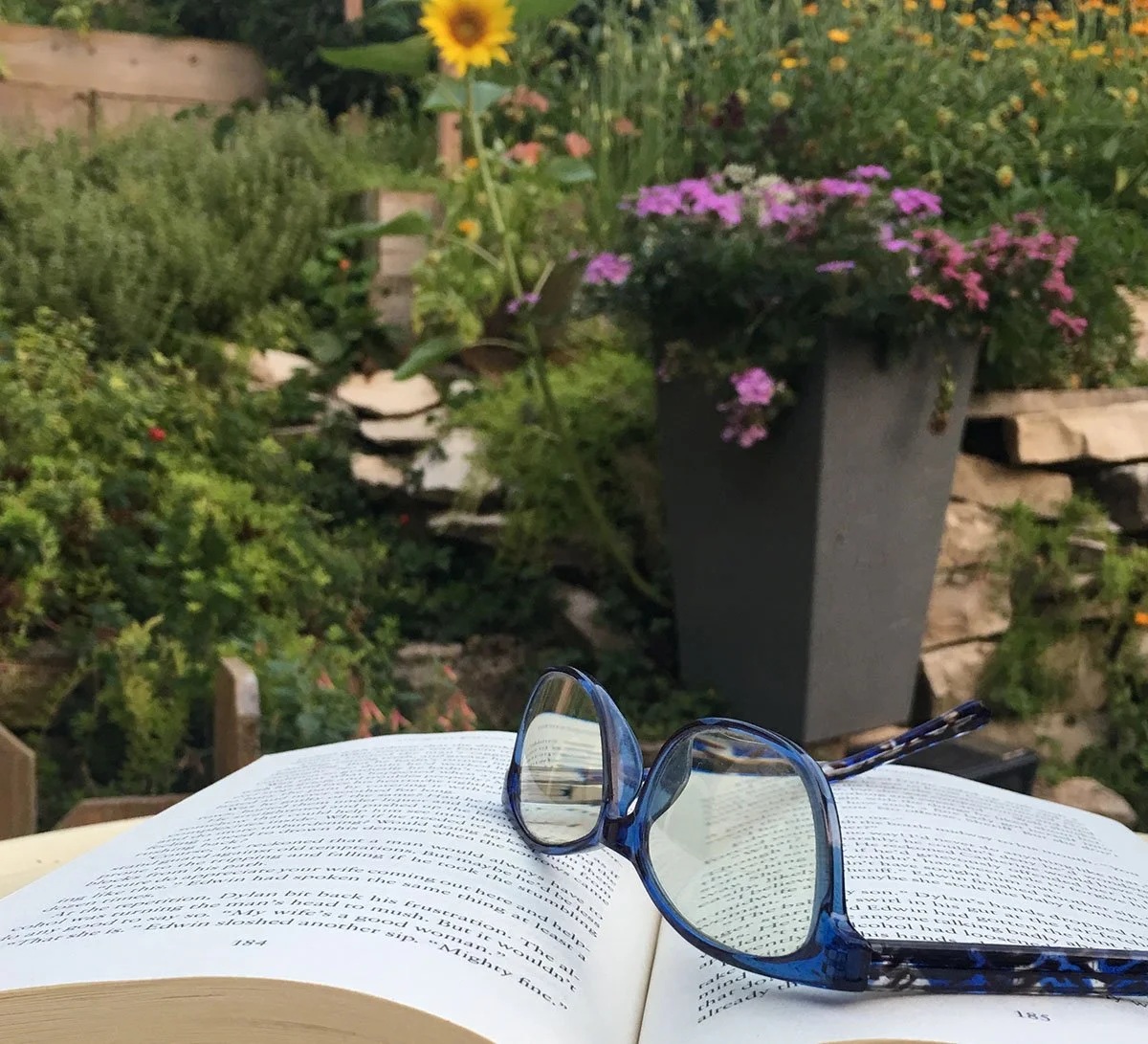 Have you discovered a new-to-you author?