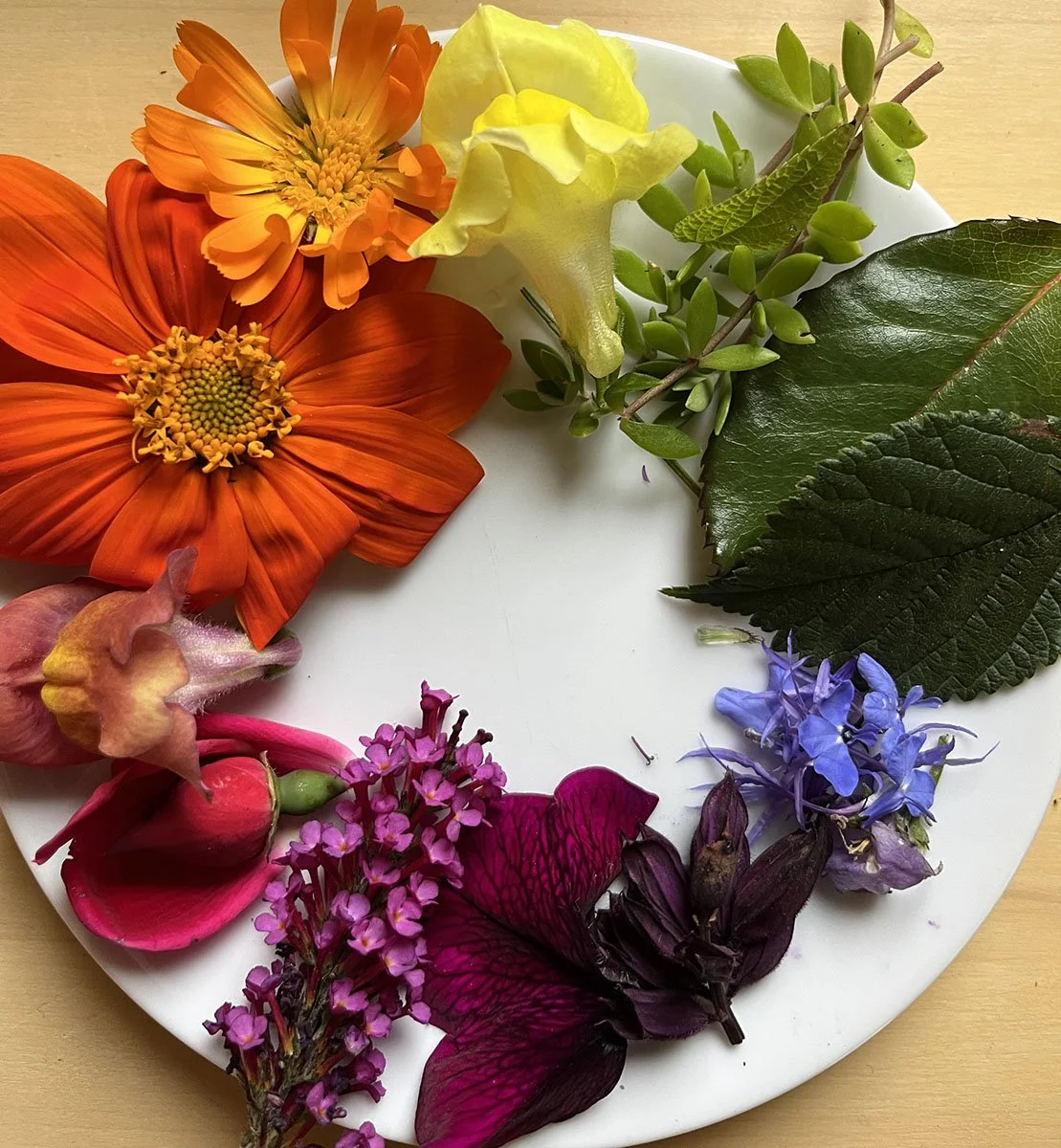 Color Wheel