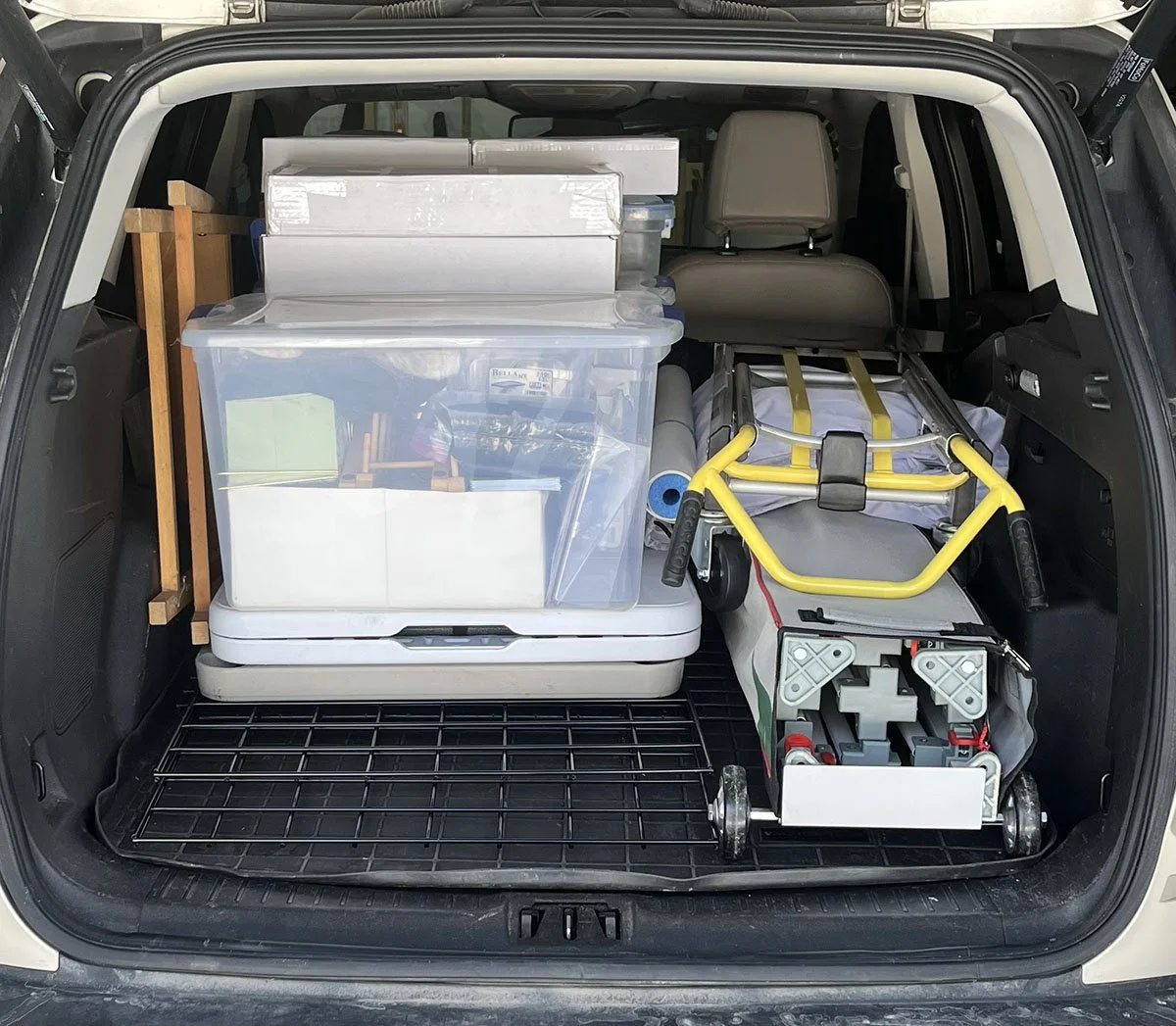 Recent Upgrades for Art Festival Endurance