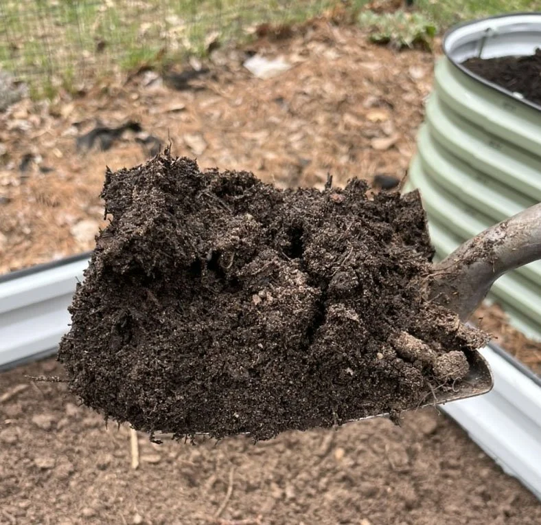 Transformation of Enriched Soil Enhances Creativity