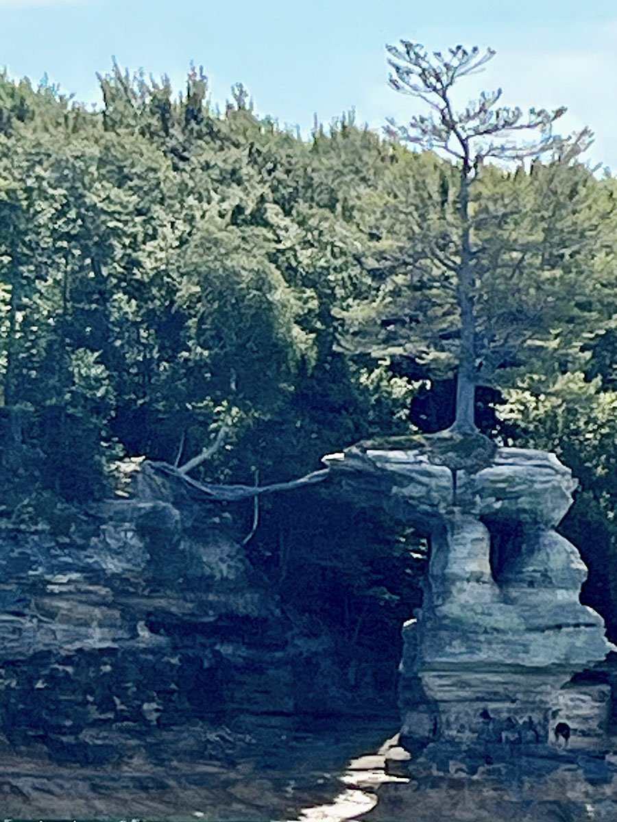 A Parallel Between A Root Bridge and Spiritual Grounding