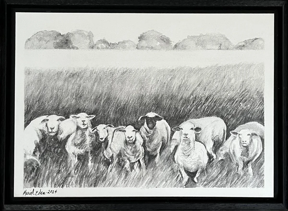 Sheepscape framed.jpg