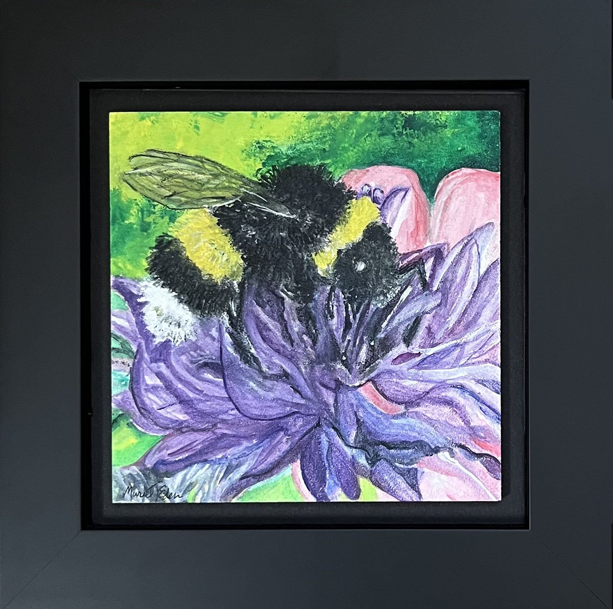 Cornflower Bee.jpg