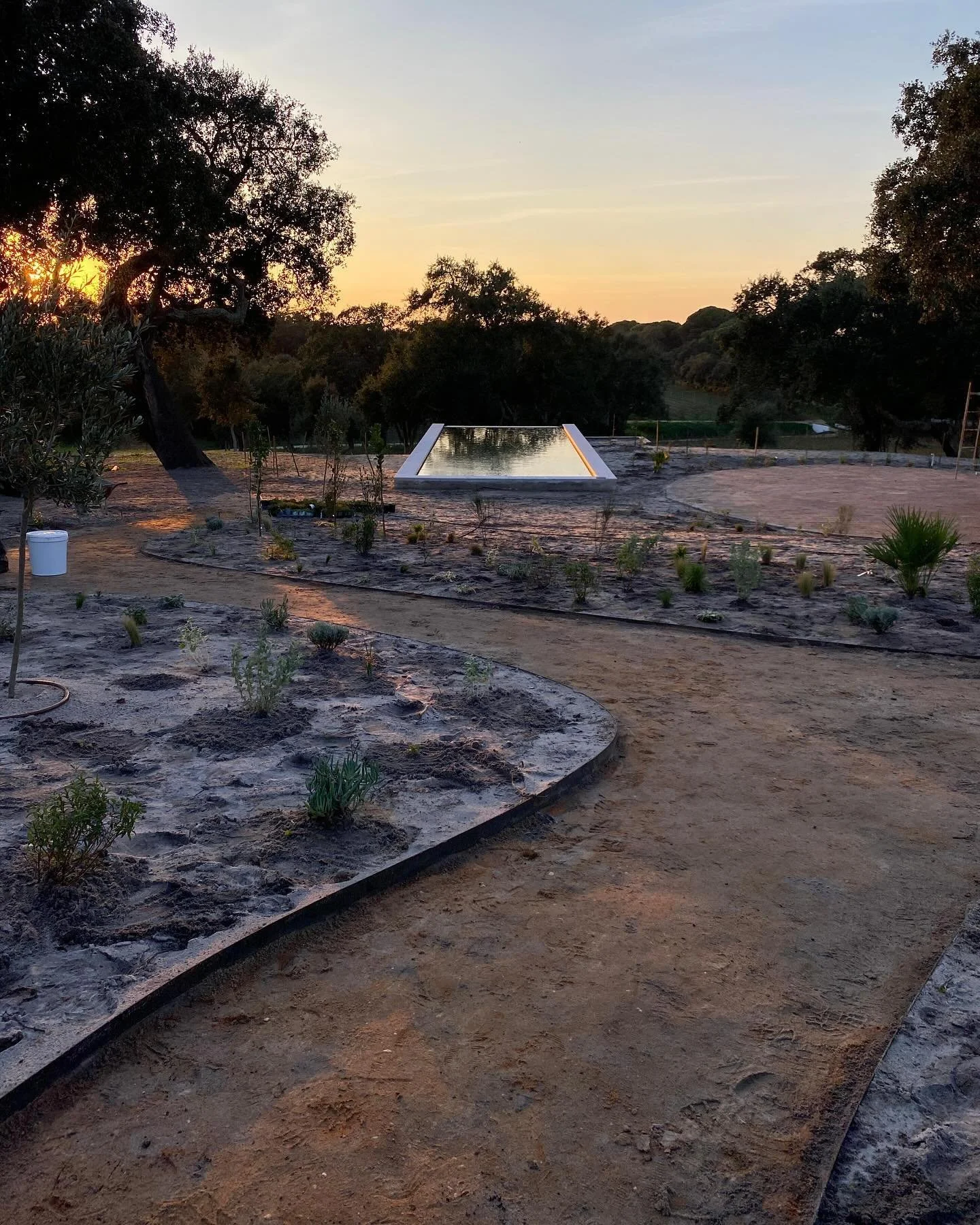 Immensely proud of this project in Portugal, where the client has decided to invest in large scale drought tolerant water wise planting and eliminate all lawn areas. The sun, the cork oaks, the reflections, all make this such a promise full of scheme