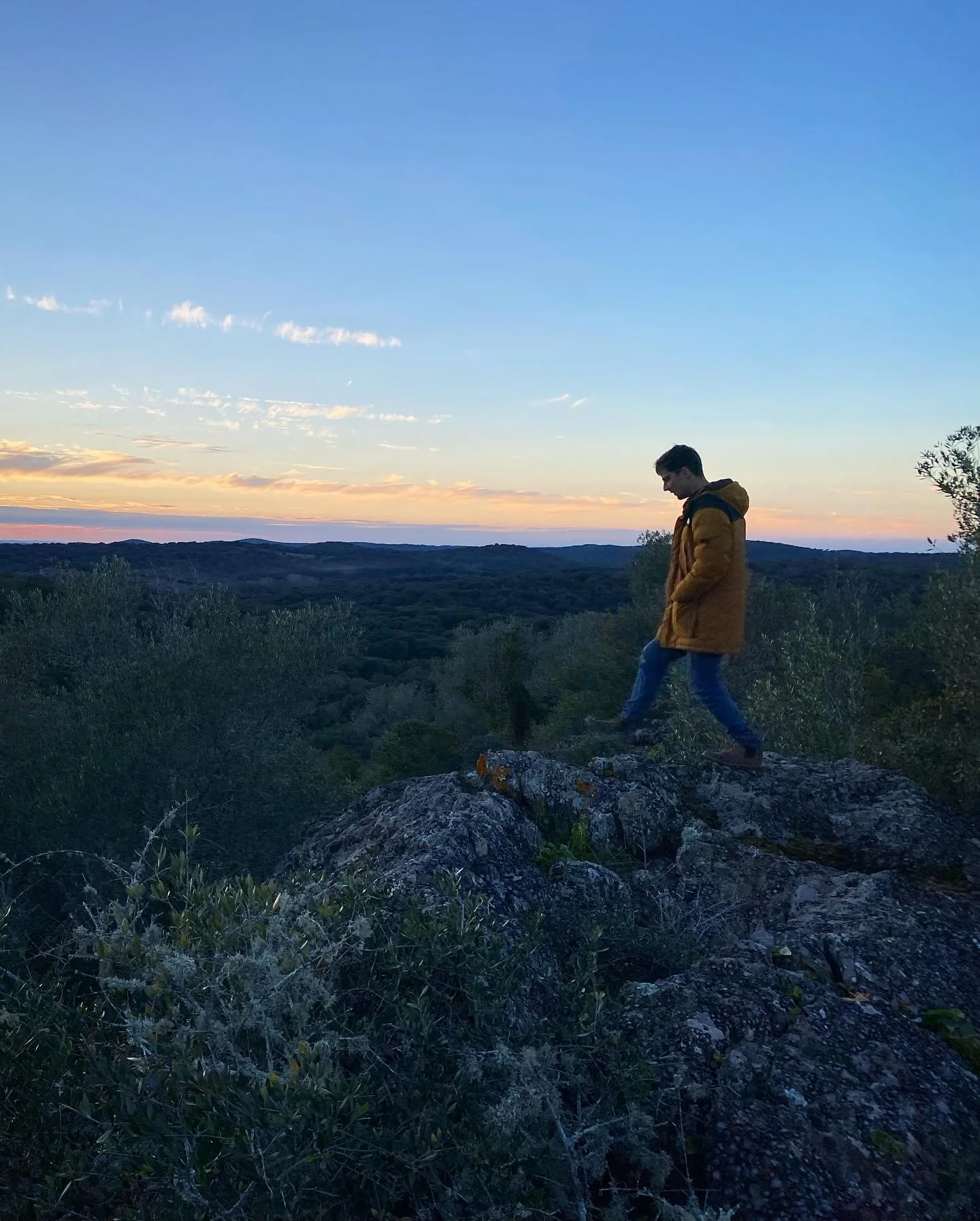 Site visit of dreams in Montemor o Novo. 
What a land, what a place ✨✨✨✨Full of life, colours, light and adventure. Luckily the third generation land owners are opening their gates so everyone can have the chance to experience this piece of paradise 