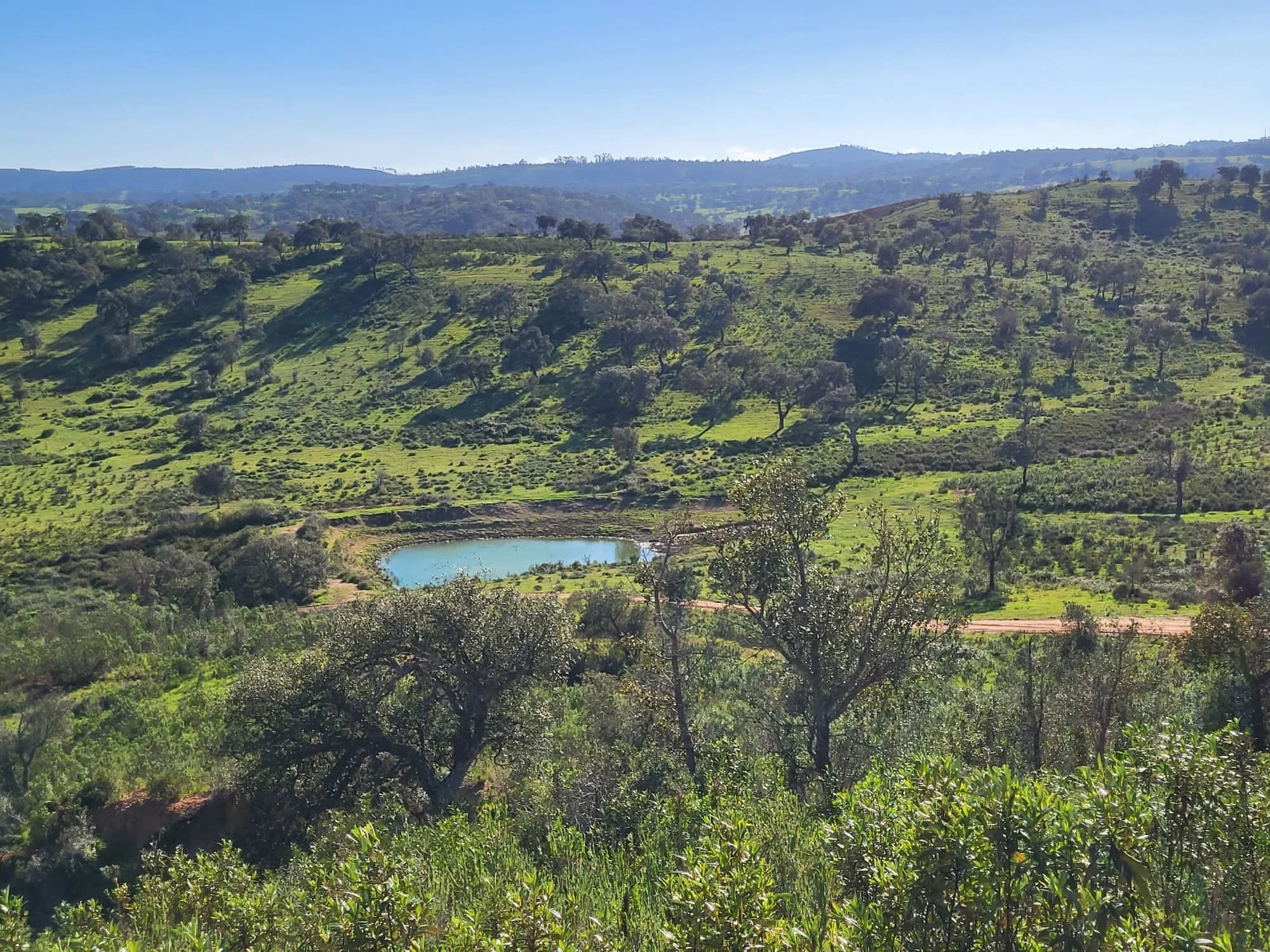 Natural swimming pond in Alentejo, Portugal