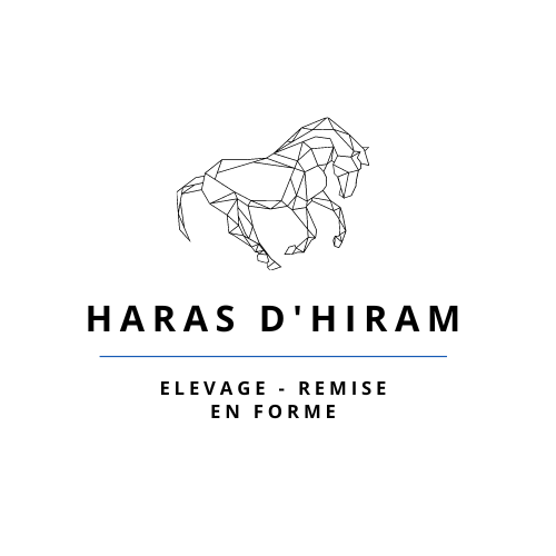 HARAS D'HIRAM (6).png