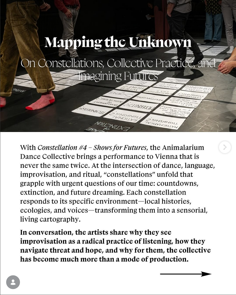 “Mapping the Unknown. On Constellations, Collective Practice and Imagining Futures” Interview 