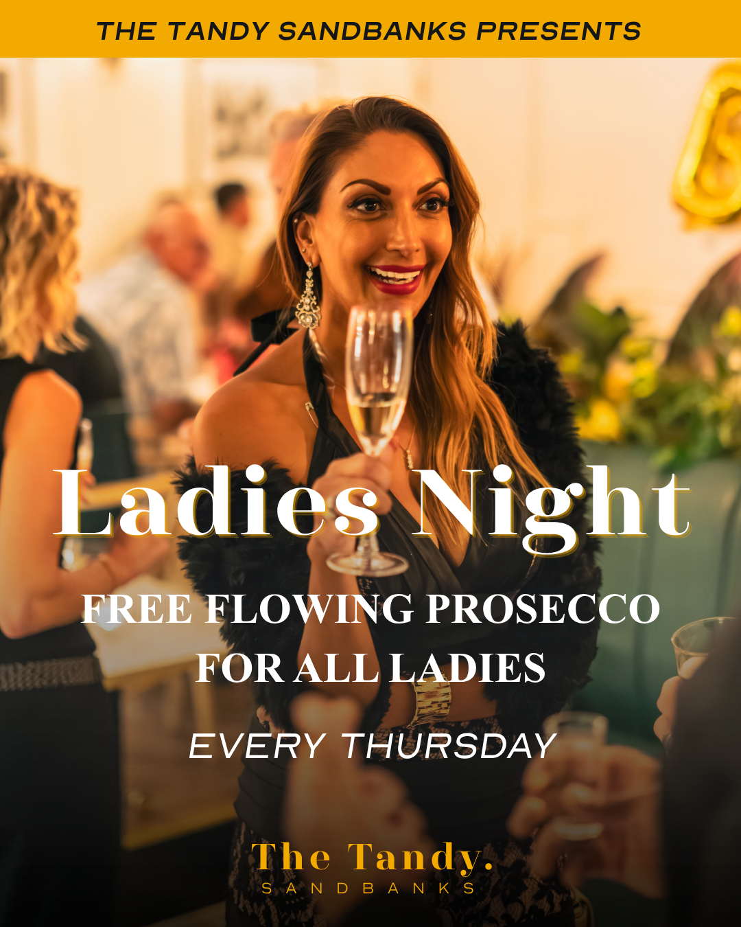 Ladies Night