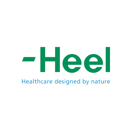 Logo mit dem Text '-Heel' und dem Slogan 'Healthcare designed by nature' darunter. - Referenz Christian-Arne de Groot
