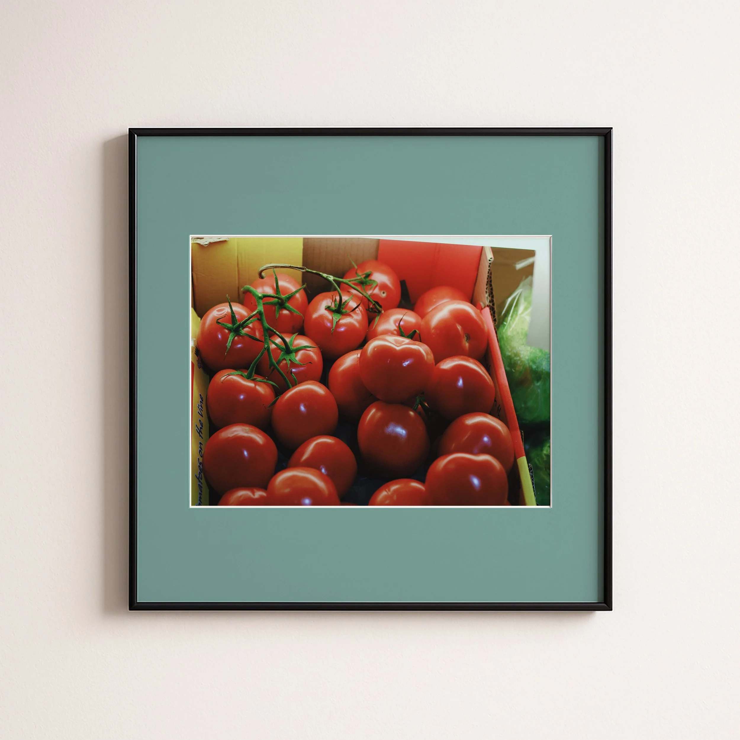 TOMATOES 2 DUCK EGG .jpg