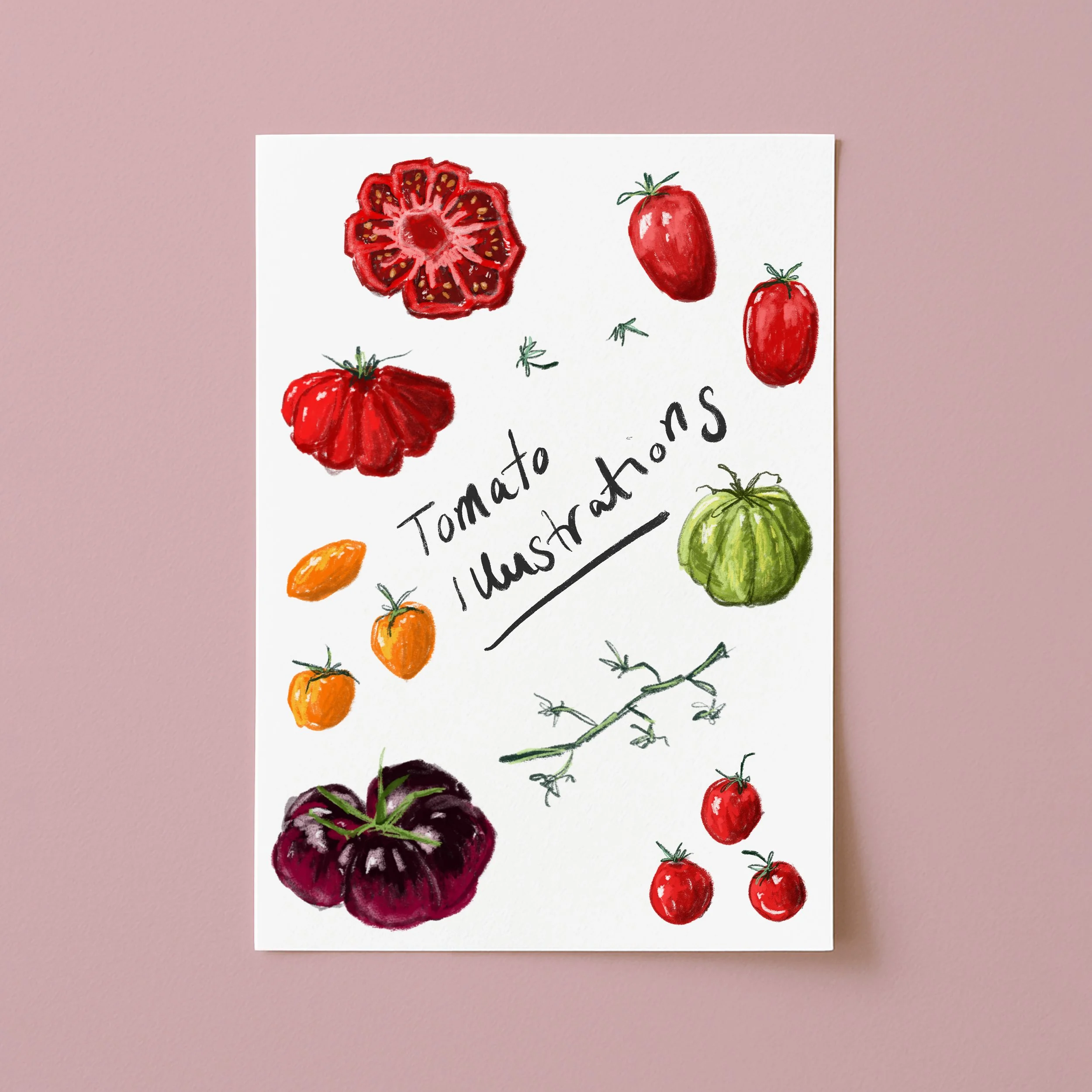 Tomato Illustrations - Digital Download