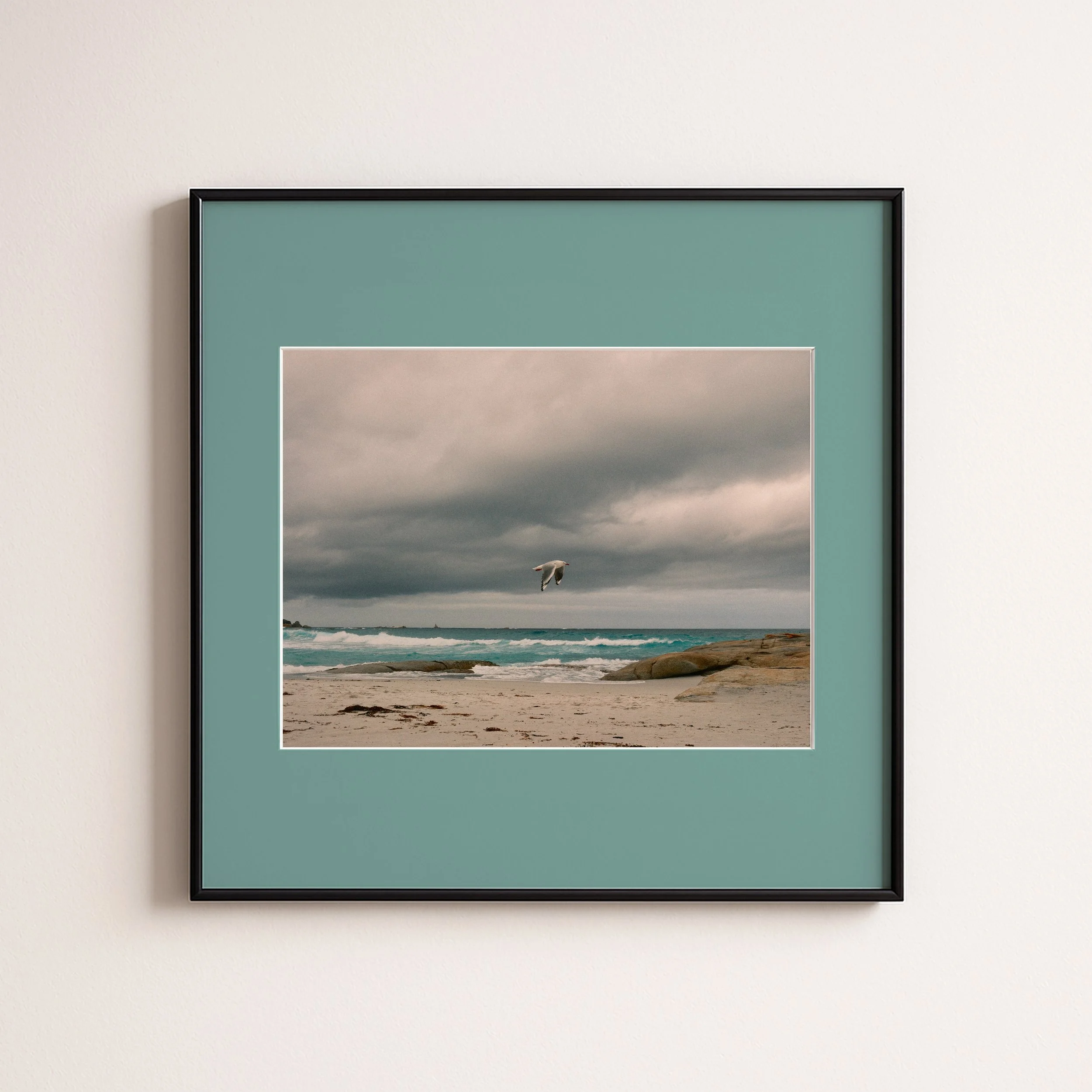 SEAGUL GREEN B LUE .jpg