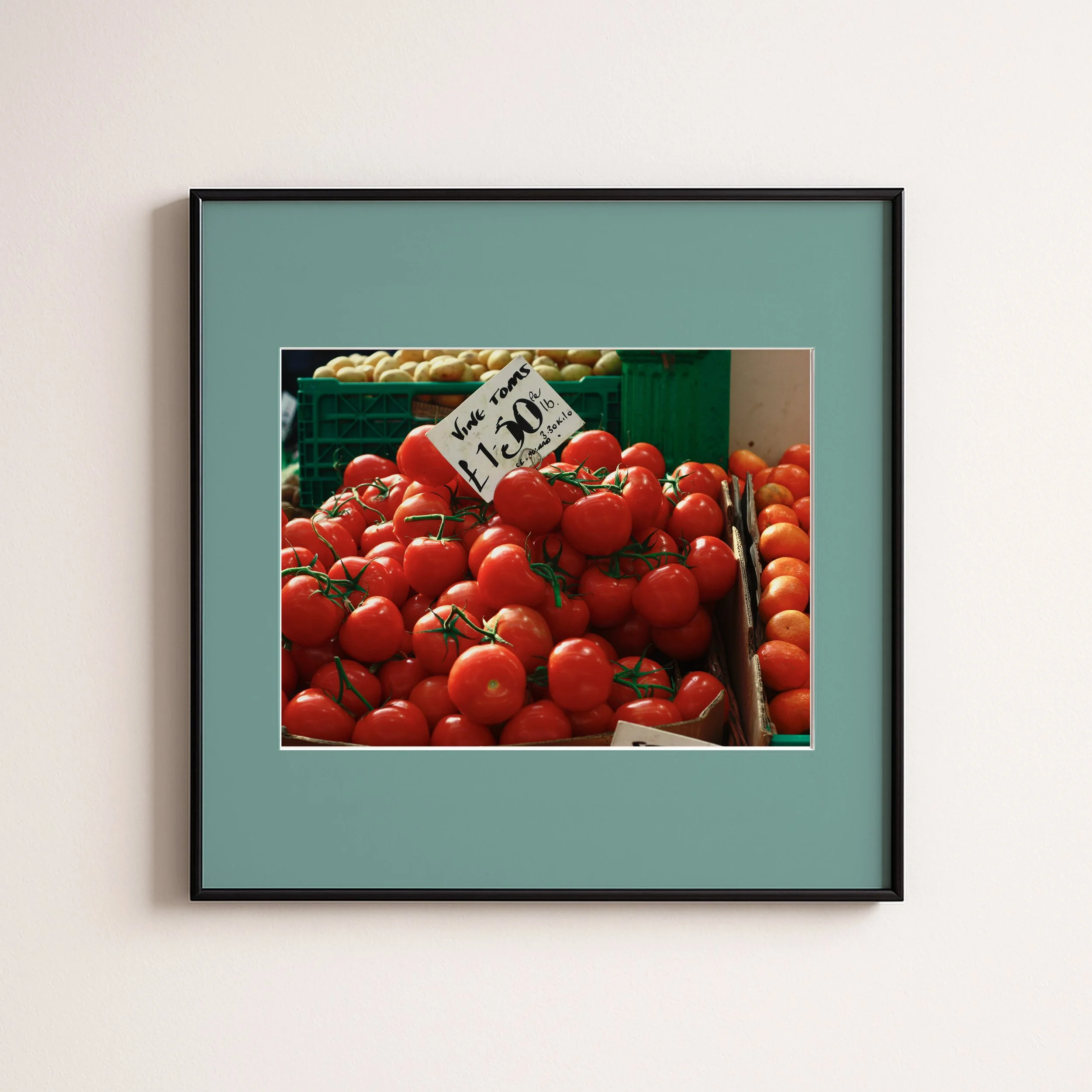 TOMATO BLUE .jpg