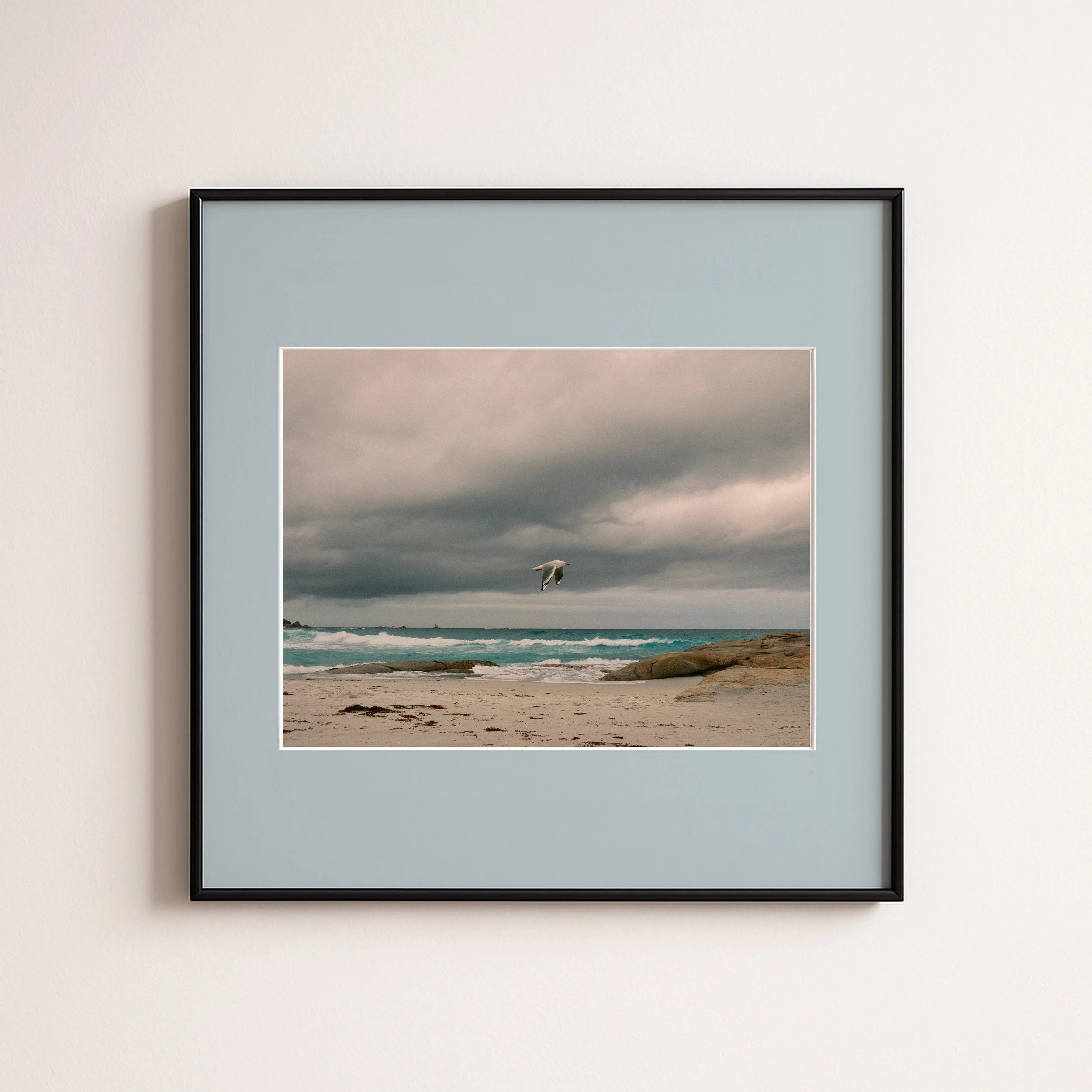 SEAGUL BLUE .jpg